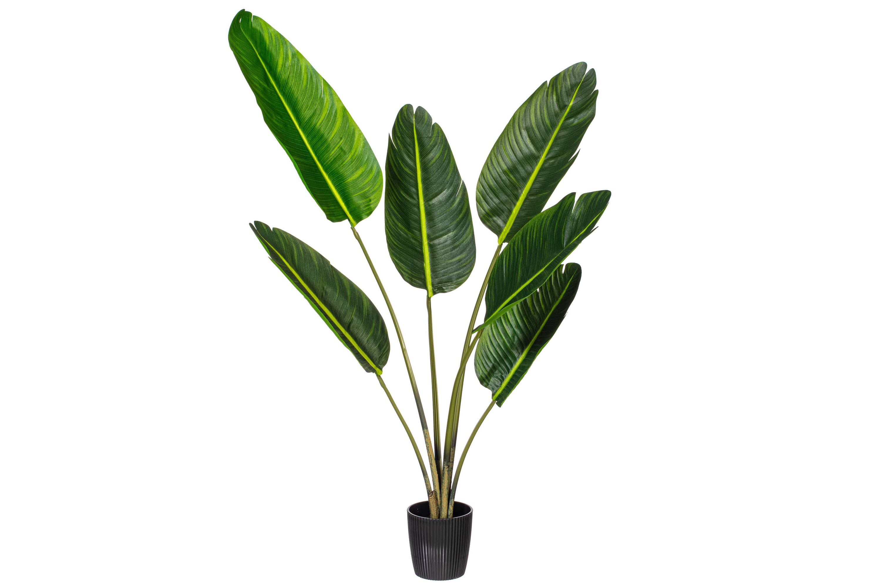 Vickerman 4 Artificial Potted Travellers Palm Tree.
