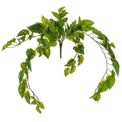 Vickerman Artificial Pothos Hanging Bush