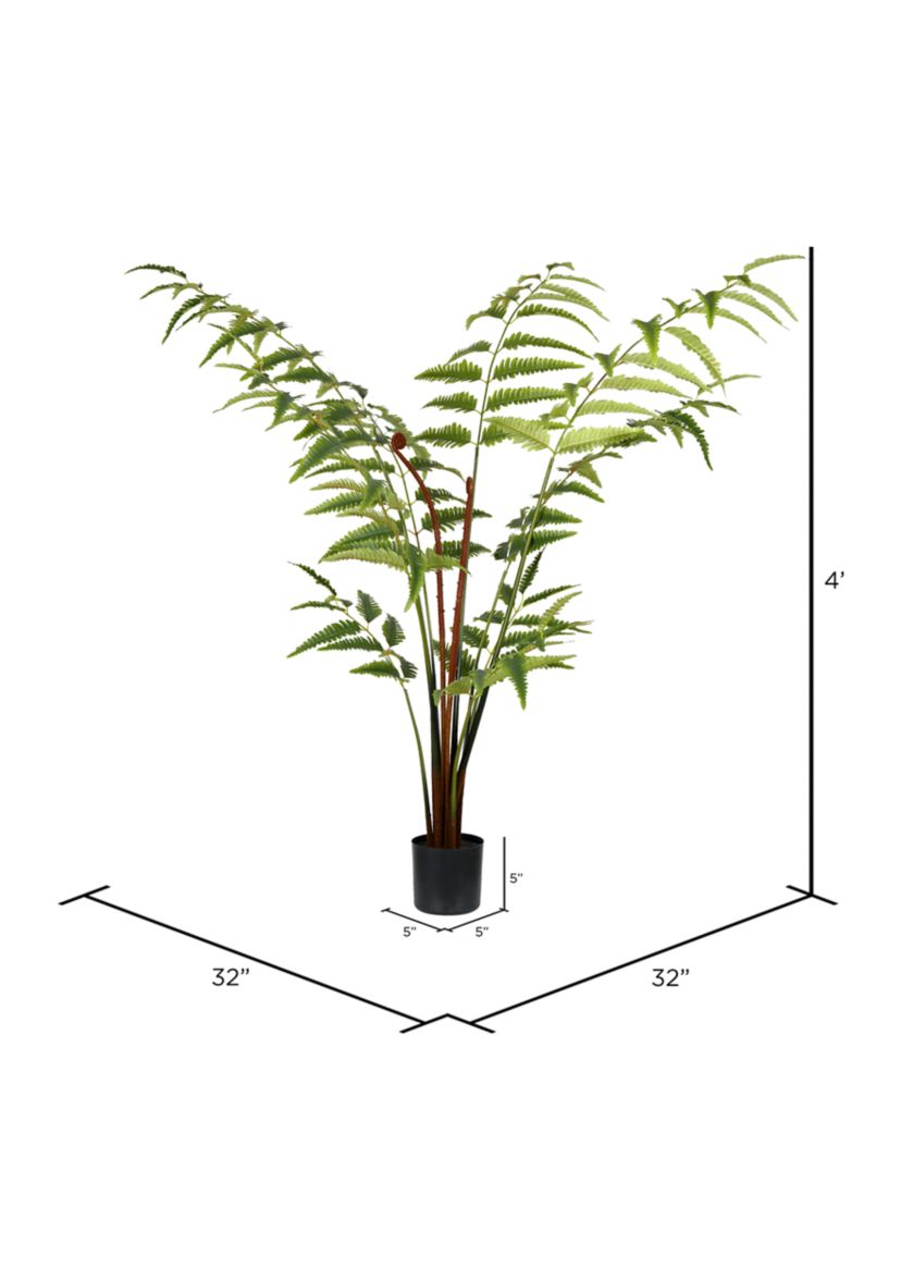 Potted Leather Fern