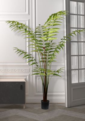 Vickerman Potted Leather Fern, Green