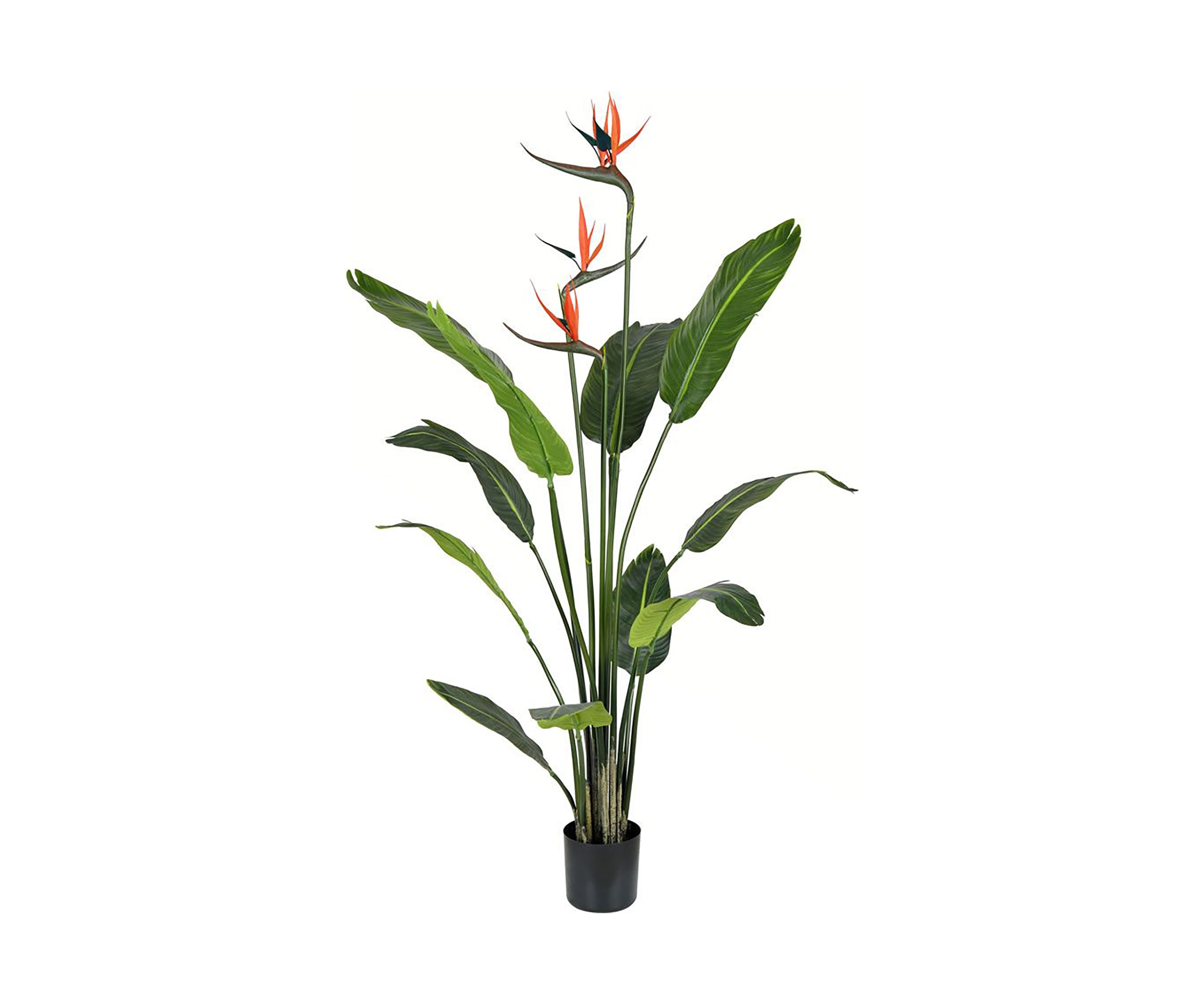 Artificial Potted Bird of Paradise Palm Tree.