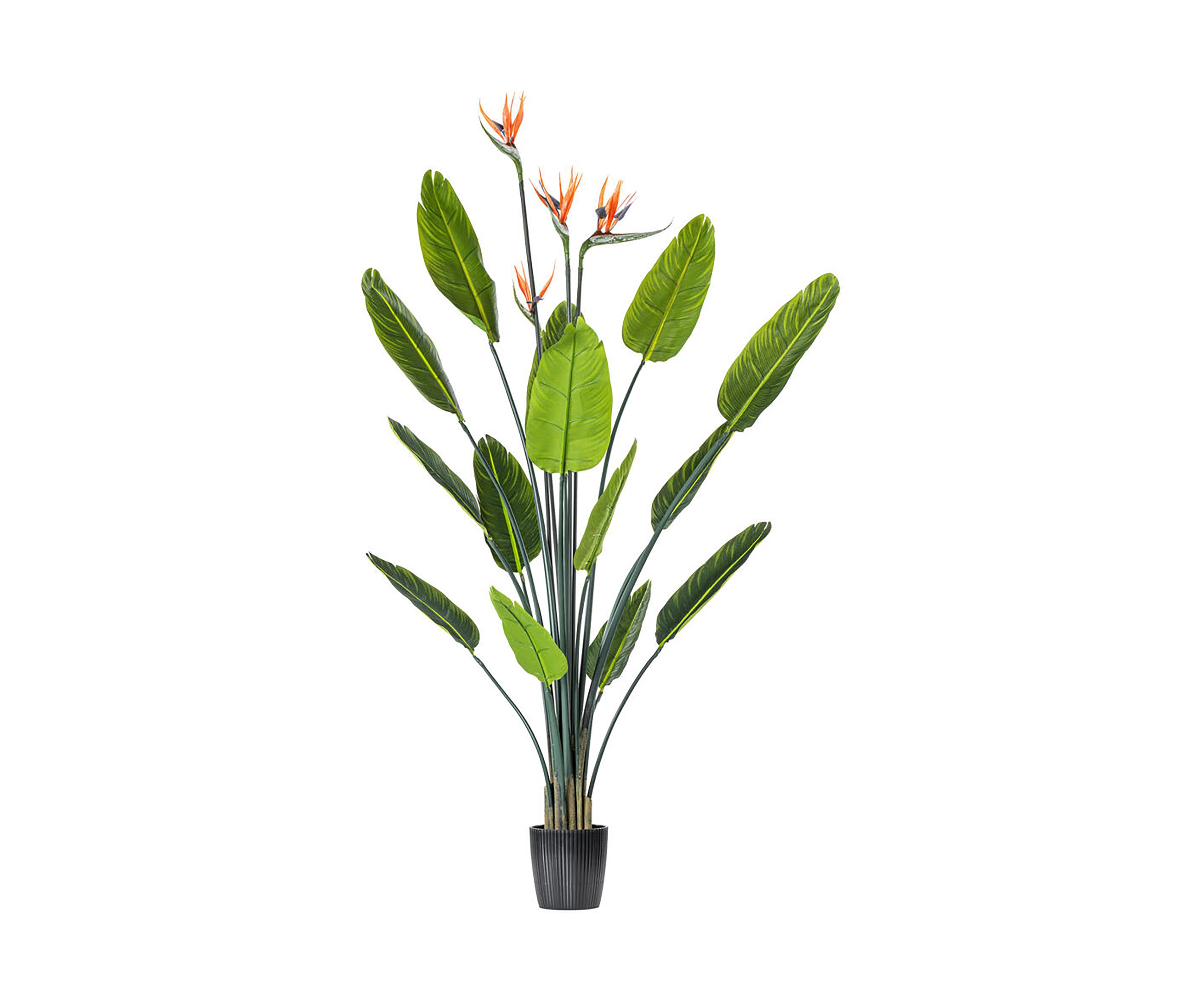 Vickerman 5 Artificial Potted Bird of Paradise Palm Tree.