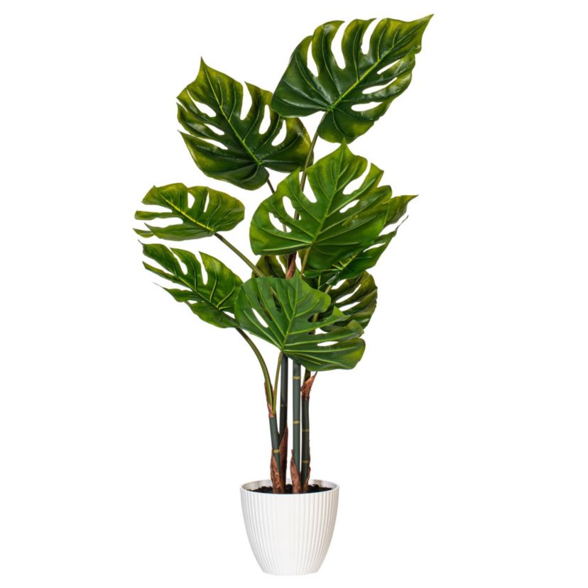 Vickerman 37" Green Monstera Plant x8 in White Pot.