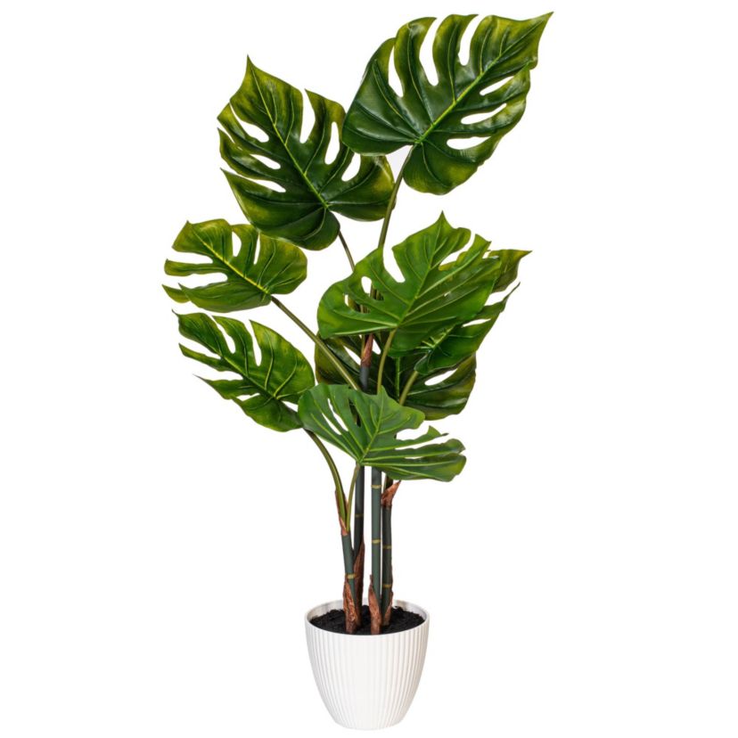 Vickerman 37" Green Monstera Plant x8 in White Pot.