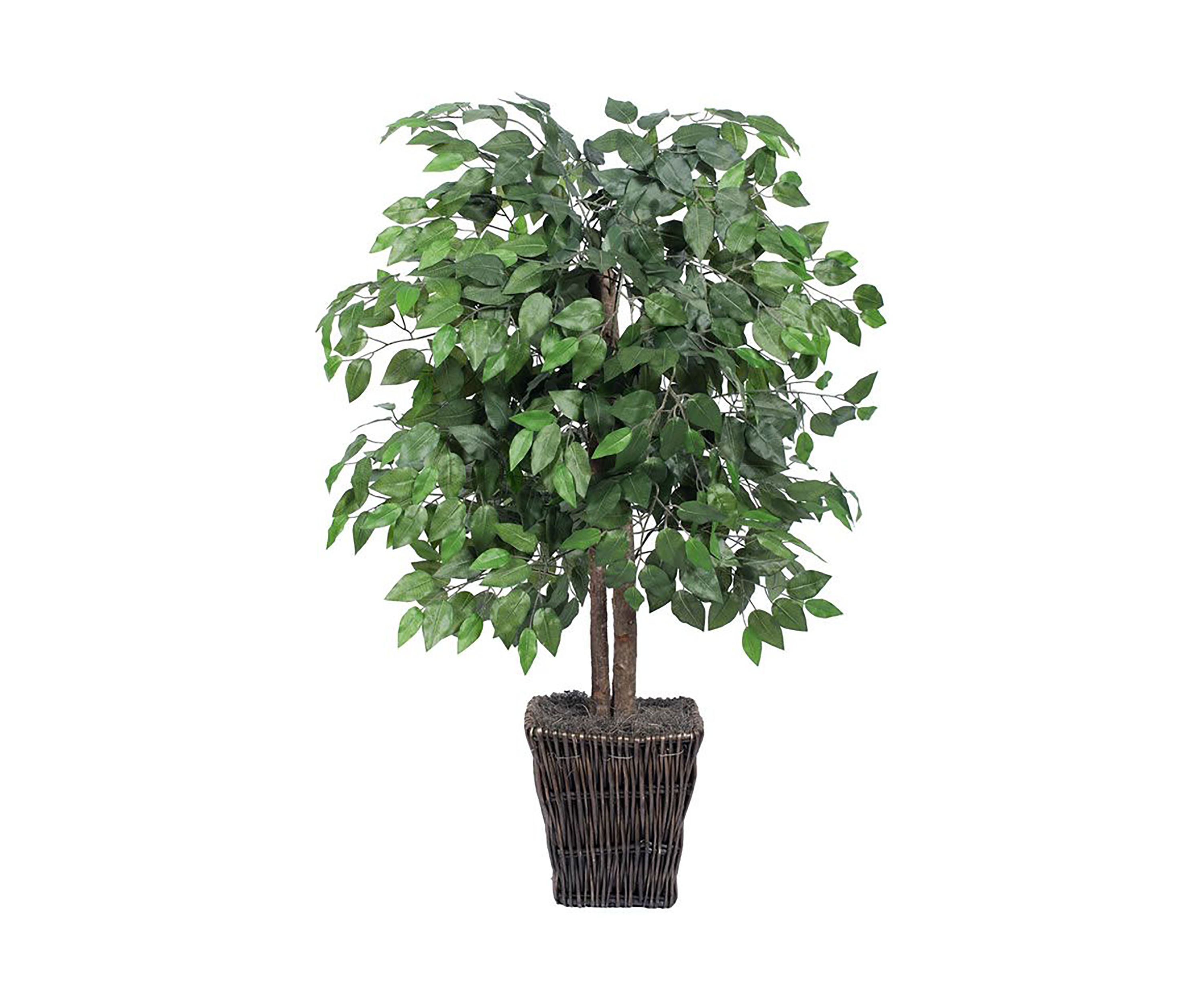 Artificial Ficus Bush, Square Willow Basket.