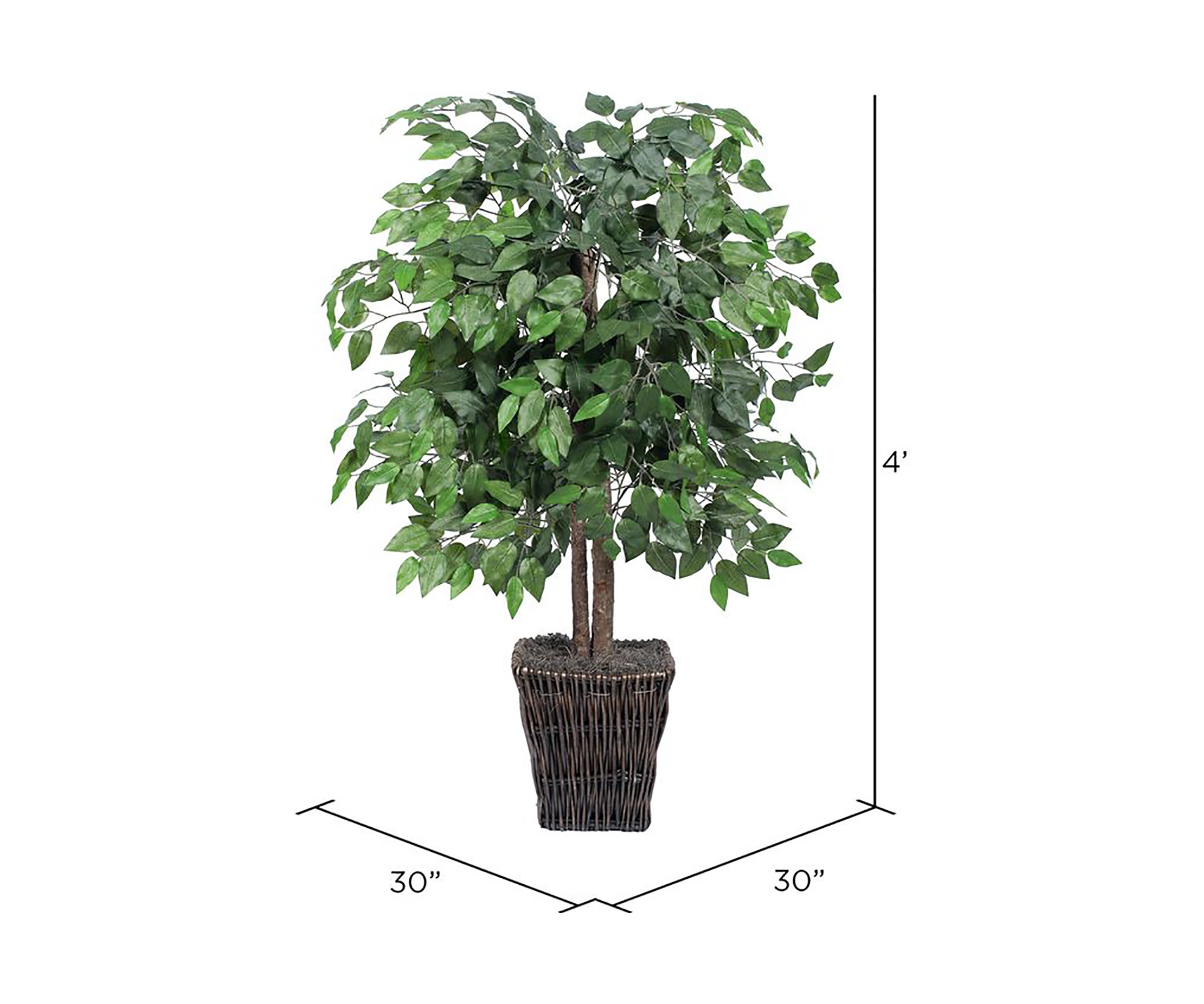 Artificial Ficus Bush, Square Willow Basket.