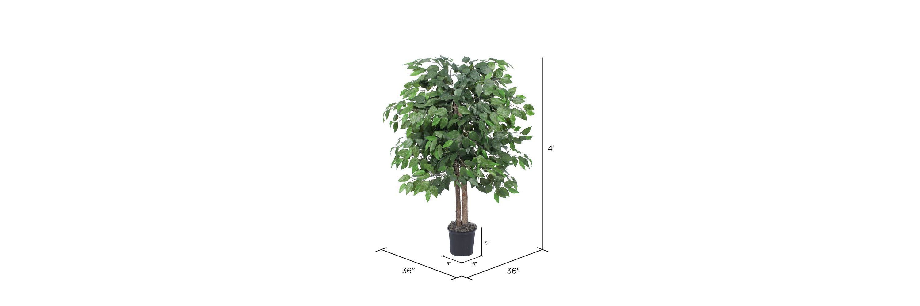 Artificial Ficus Bush, Plastic Pot.