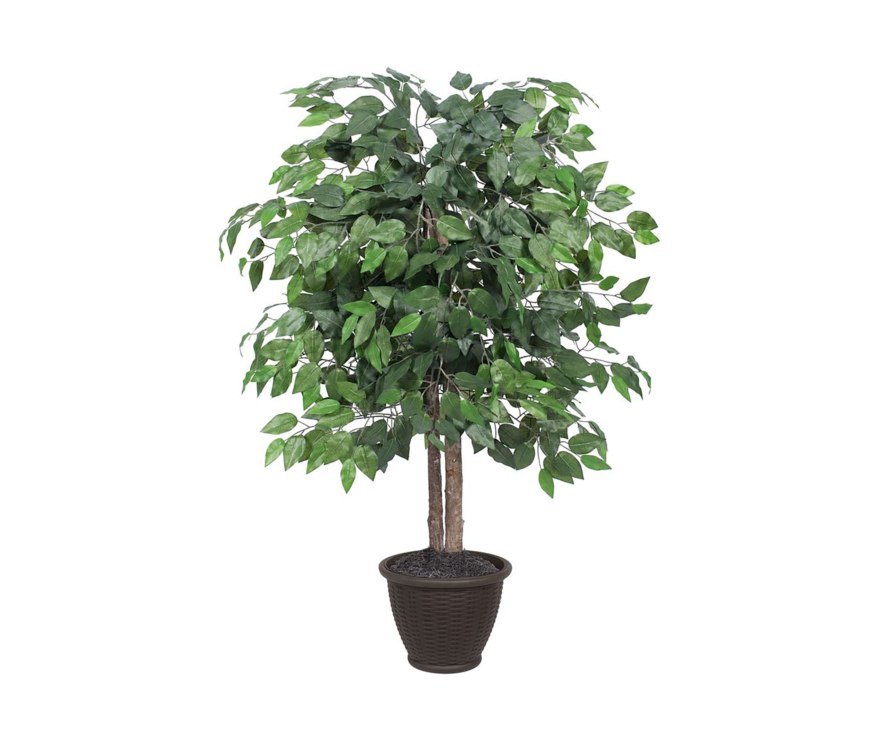 Vickerman 4 Artificial Ficus Bush, Round Gray Plastic Container.