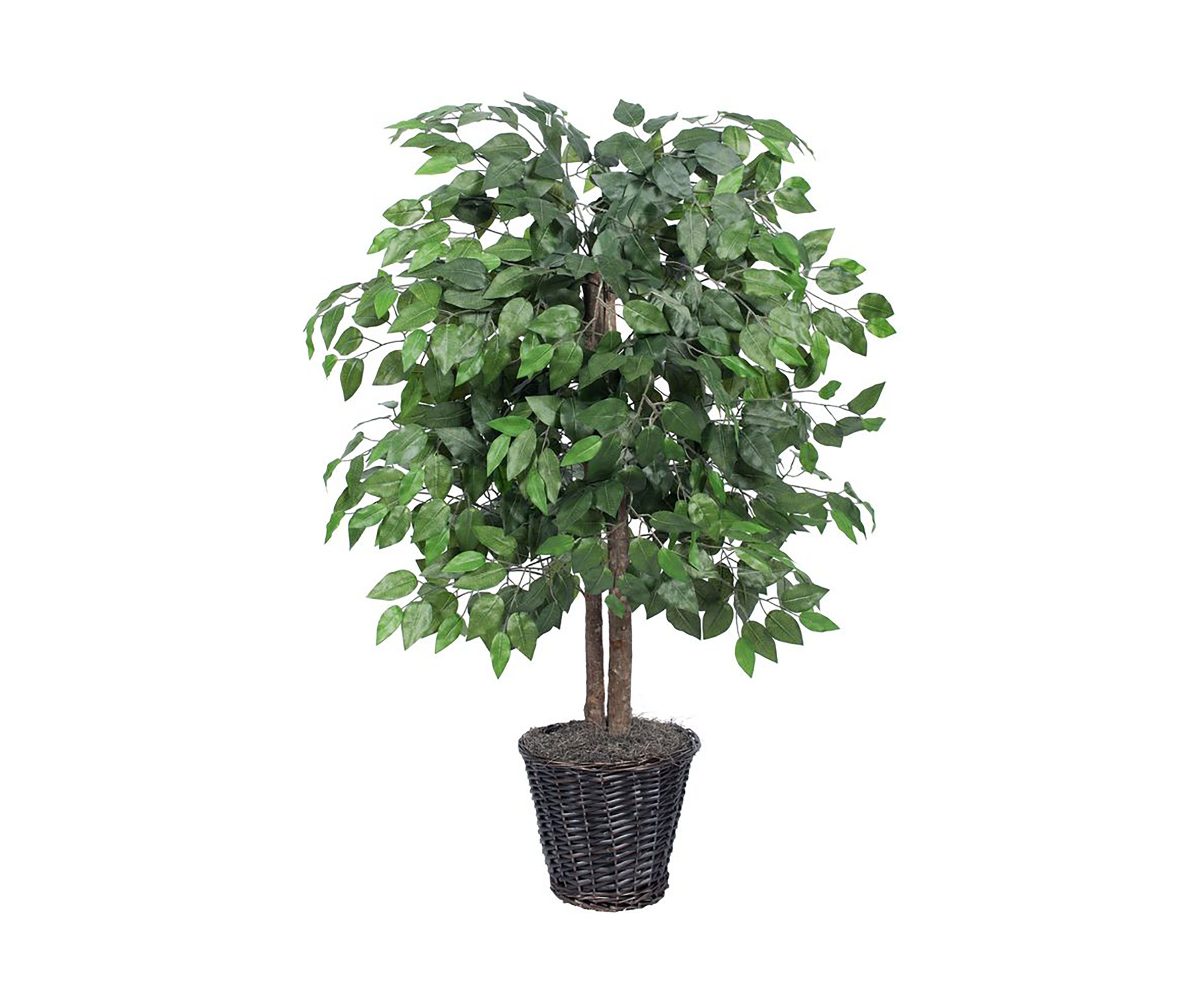 Artificial Ficus Bush, Rattan Basket.