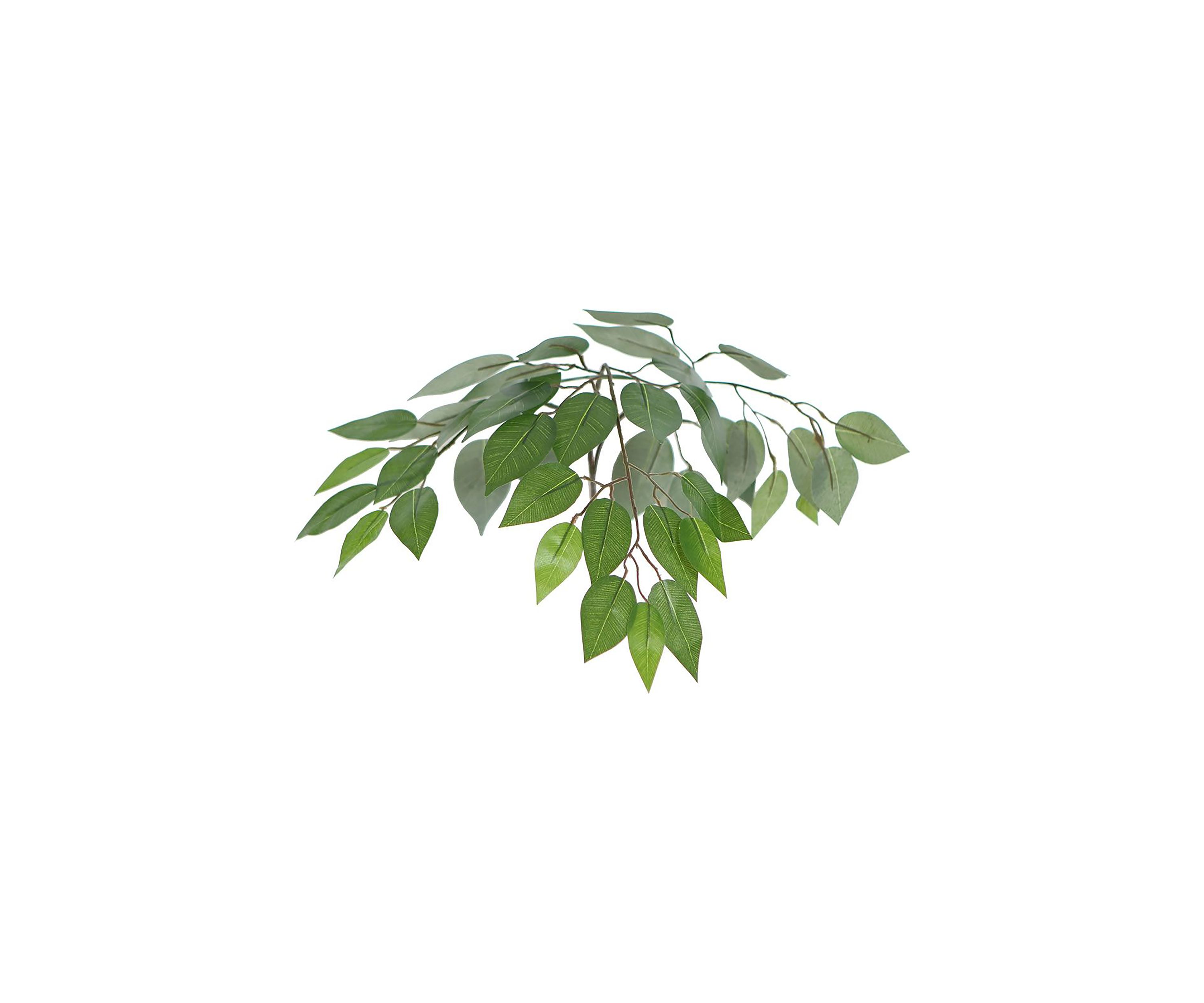 Artificial Ficus Bush, Rattan Basket.