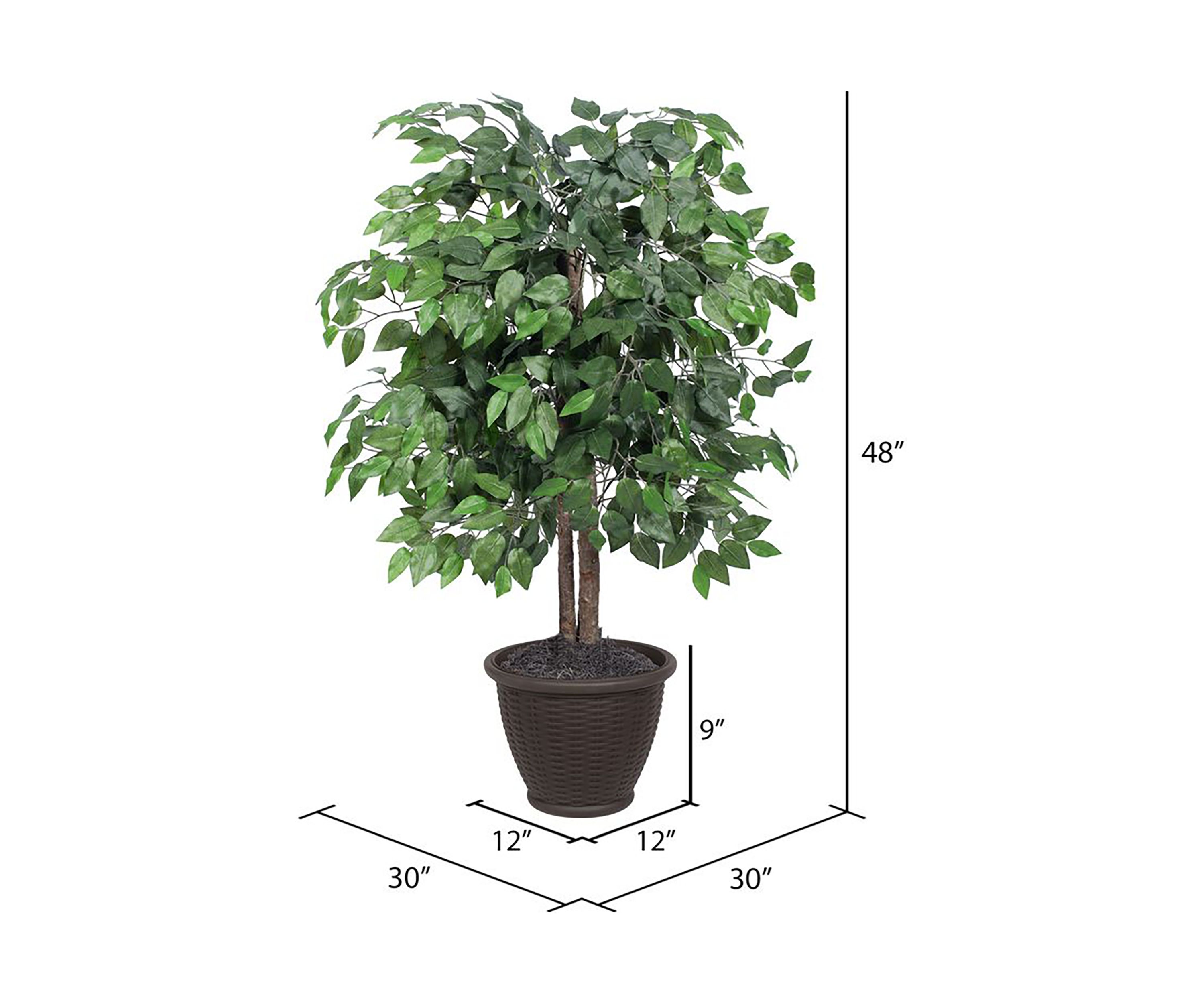 Artificial Ficus Bush, Rattan Basket.