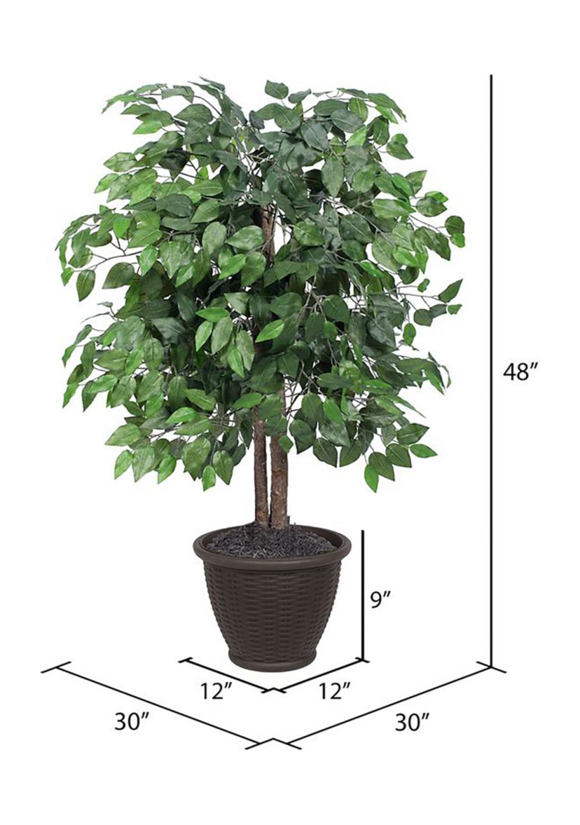 Artificial Ficus Bush, Rattan Basket.