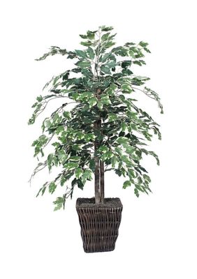 Vickerman Artificial Variegated Ficus Bush, Square Willow Basket, White