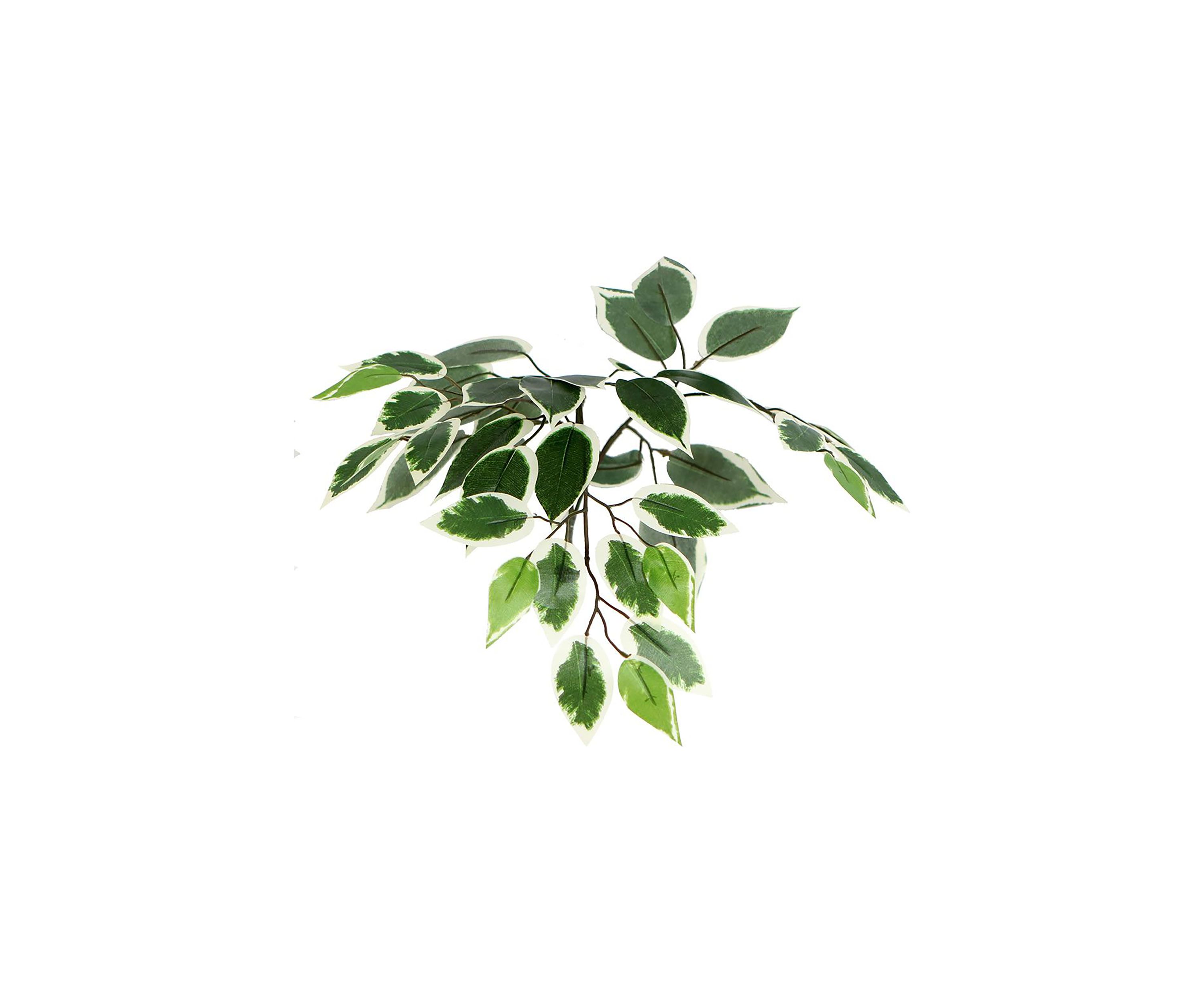 Artificial Variegated Ficus Bush, Rattan Basket