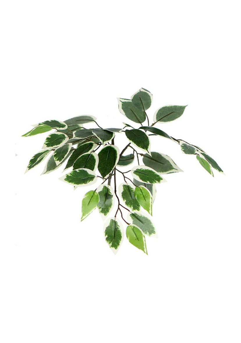 Artificial Variegated Ficus Bush, Rattan Basket