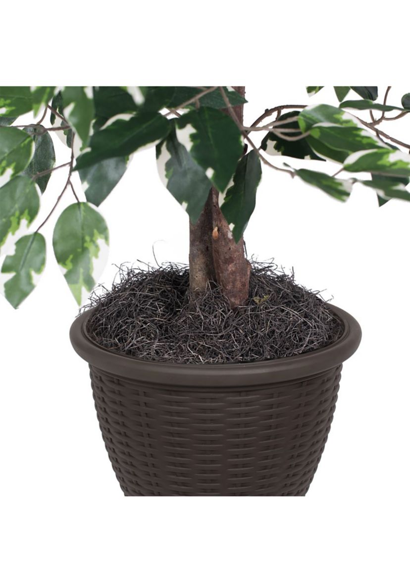 Artificial Variegated Ficus Bush, Rattan Basket