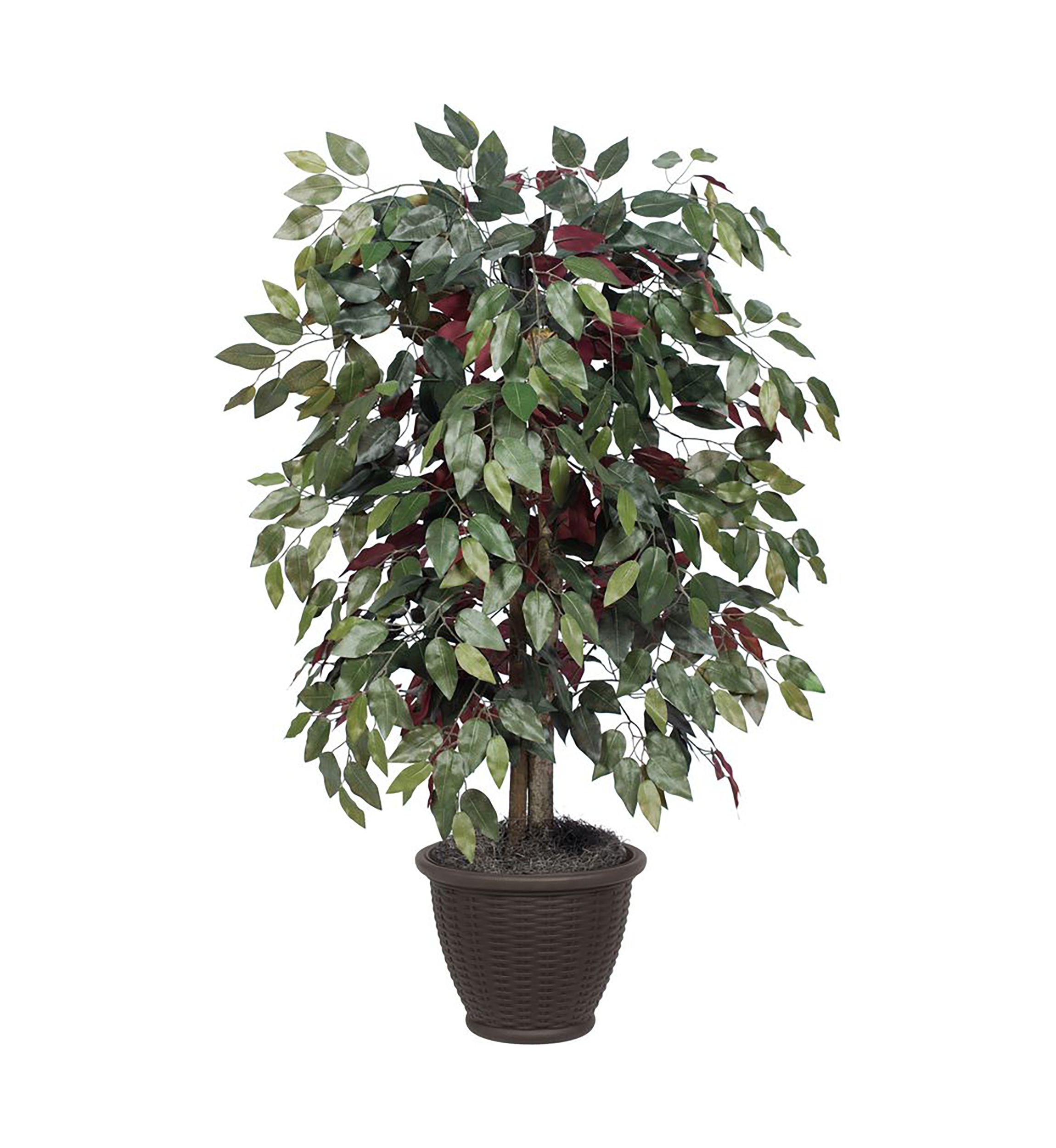 Artificial Capensia Bush, Plastic Container.
