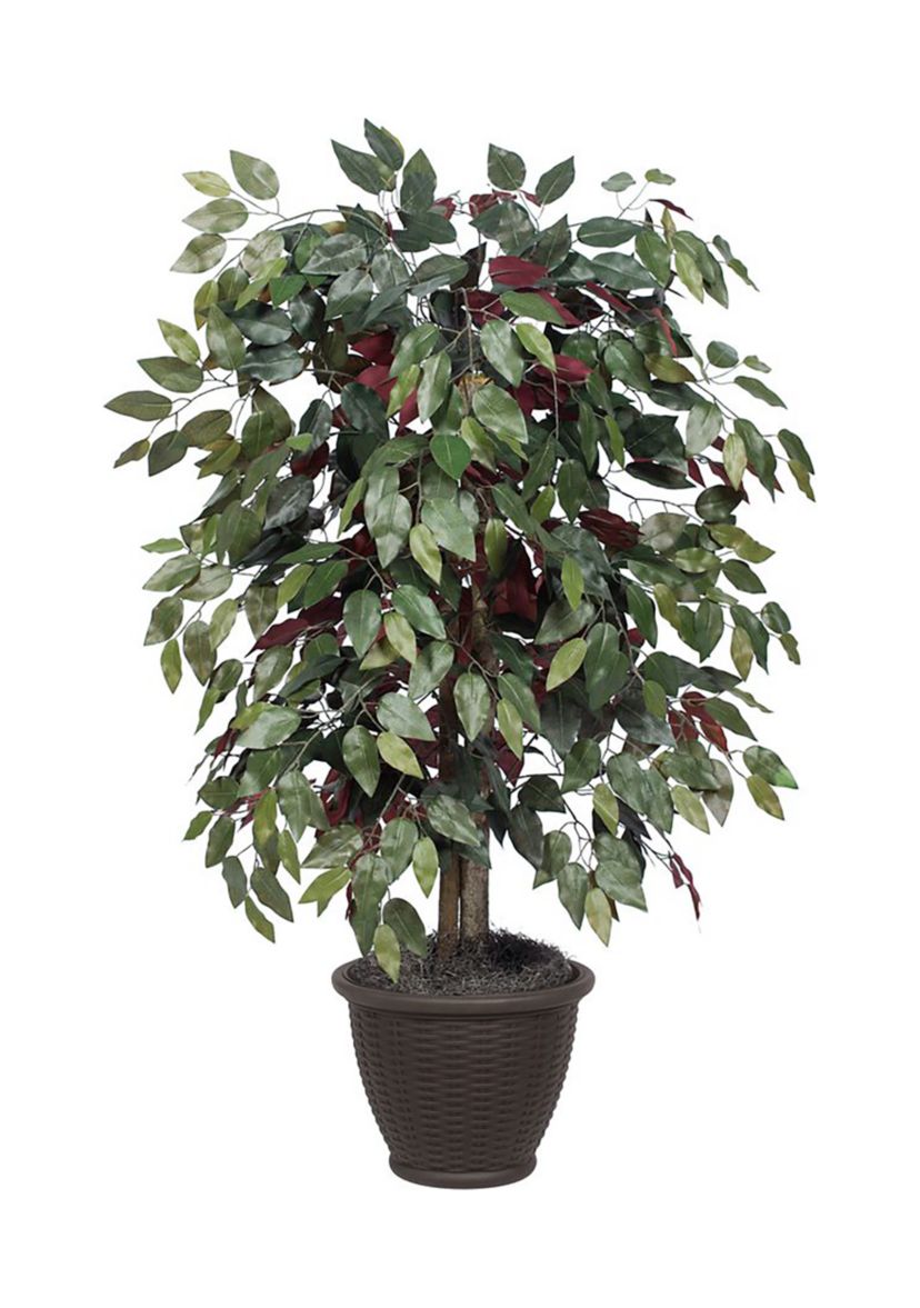 Artificial Capensia Bush, Plastic Container.