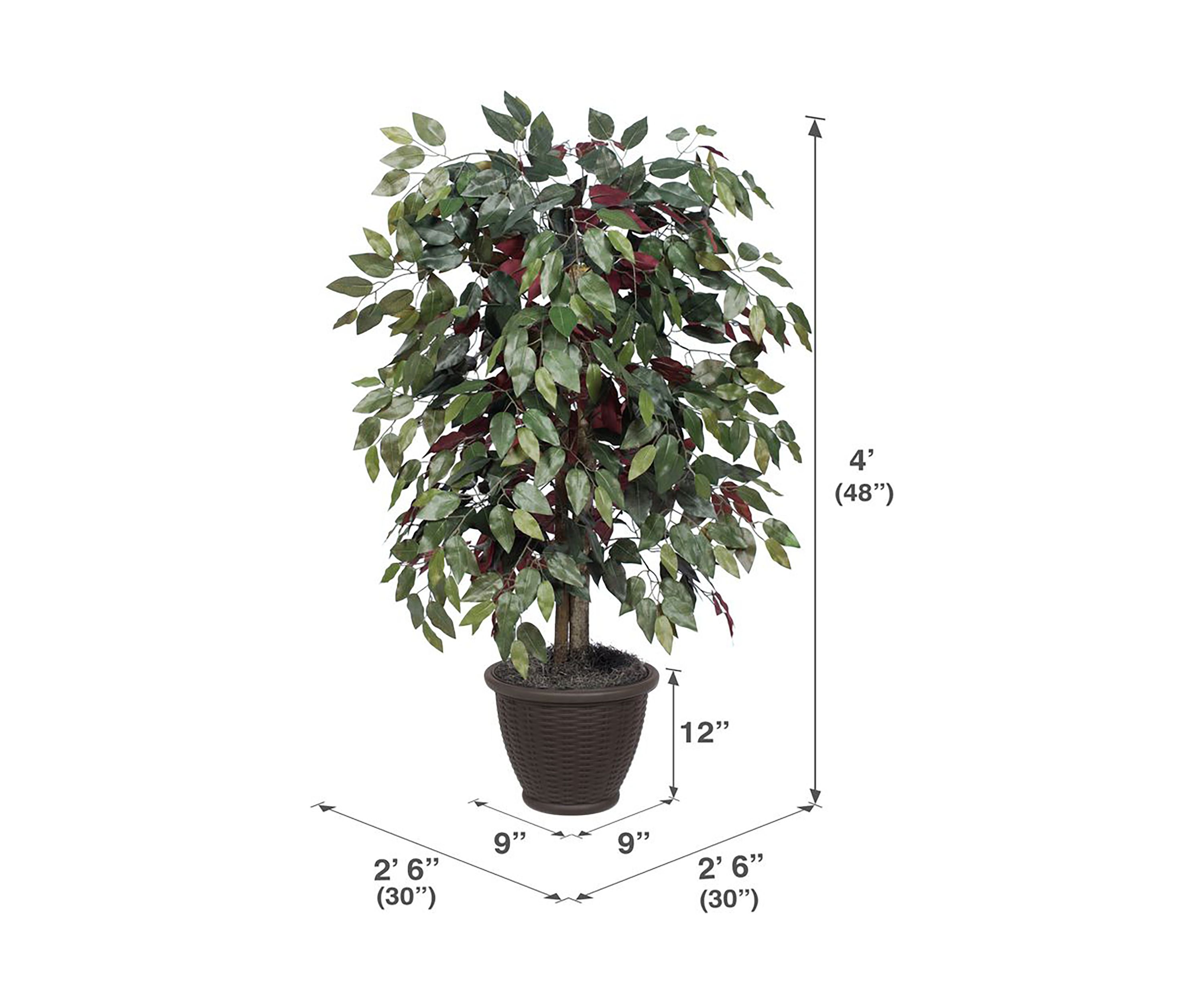 Artificial Capensia Bush, Plastic Container.