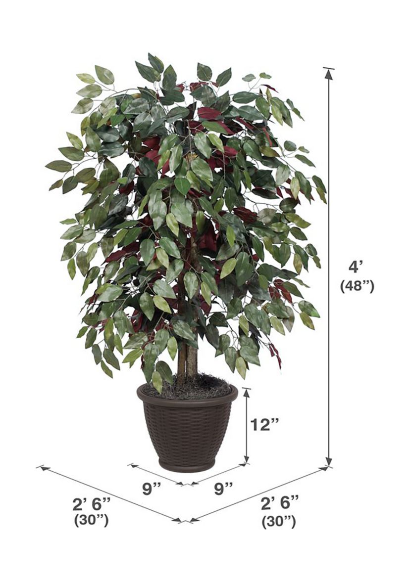 Artificial Capensia Bush, Plastic Container.