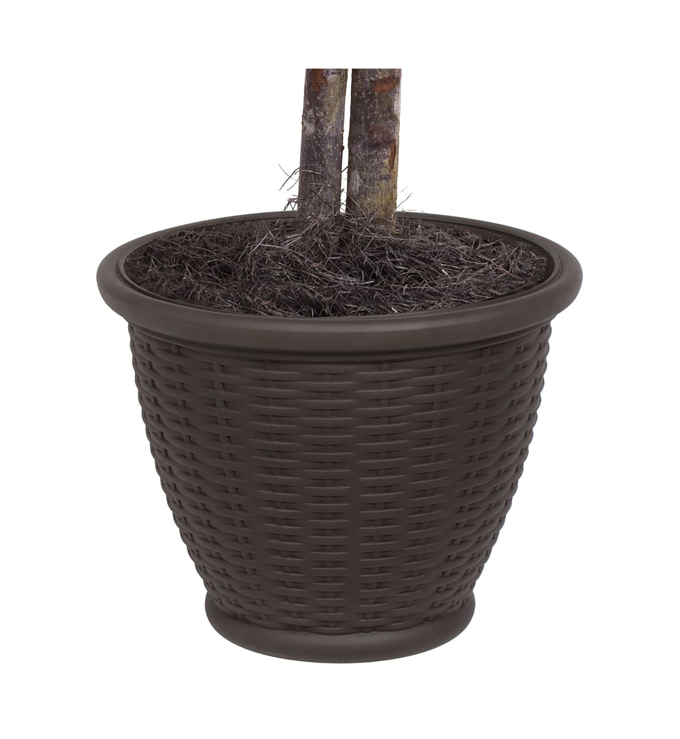 Artificial Capensia Bush, Plastic Container.
