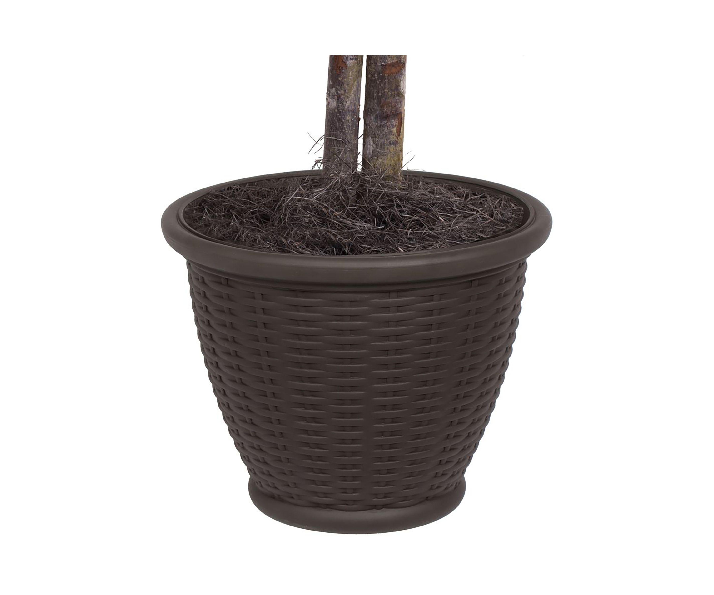 Artificial Capensia Bush, Plastic Container.