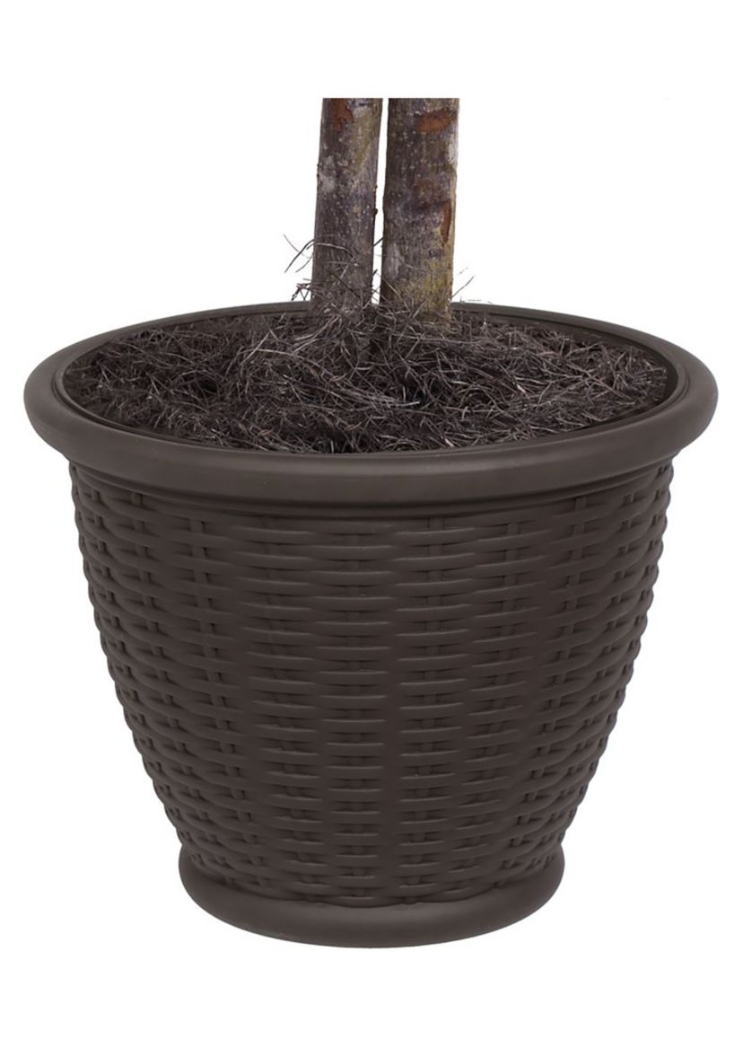 Artificial Capensia Bush, Plastic Container.