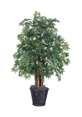 Vickerman Artificial Ming Aralia Bush, Rattan Basket, Green