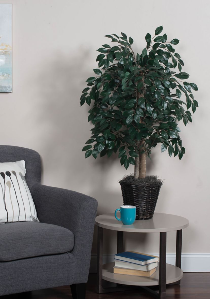 Sakaki Bush in Rattan Basket