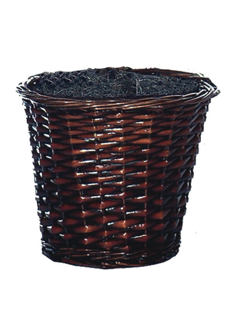 Sakaki Bush in Rattan Basket