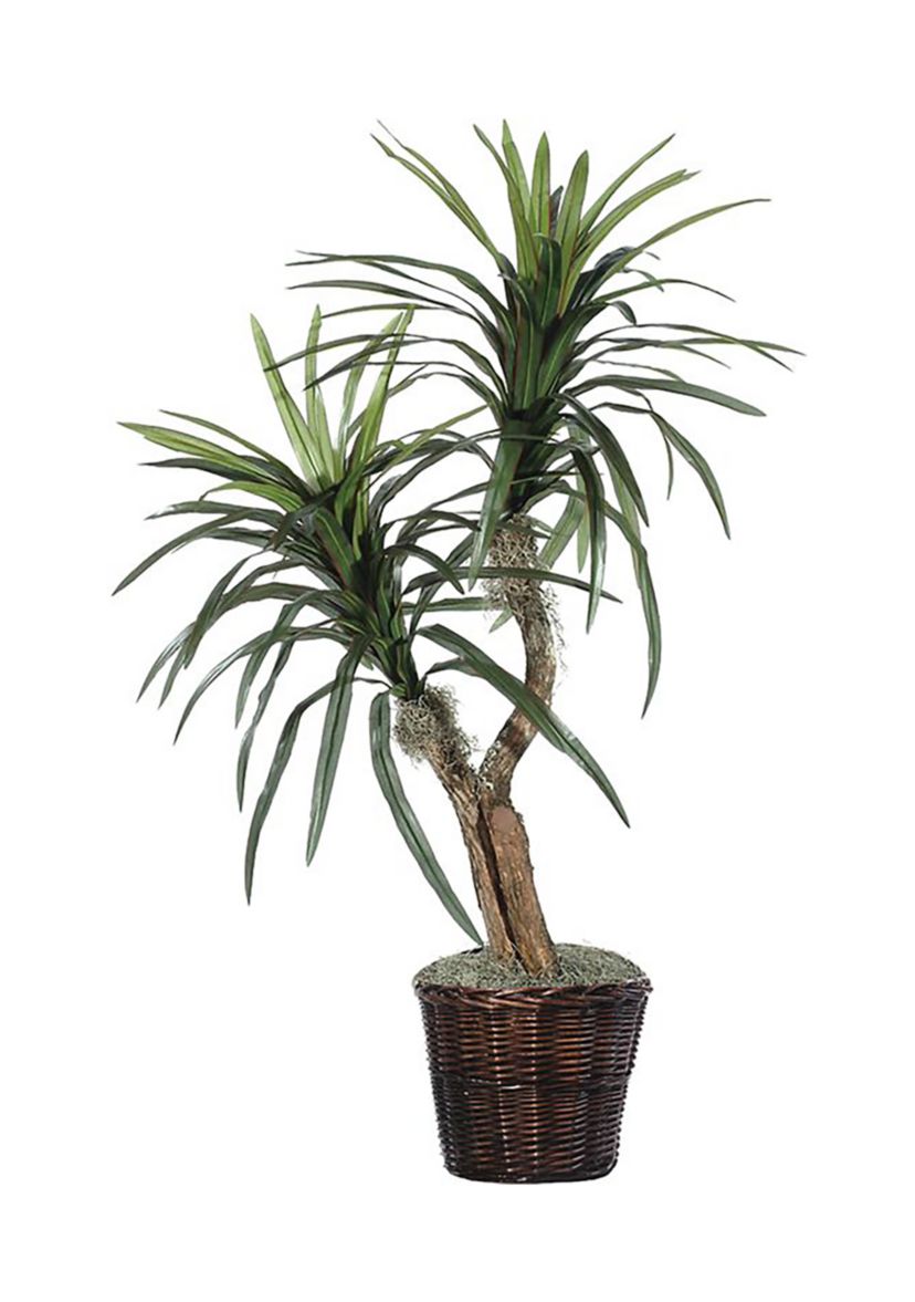 Artificial Marginata Bush, Rattan Basket