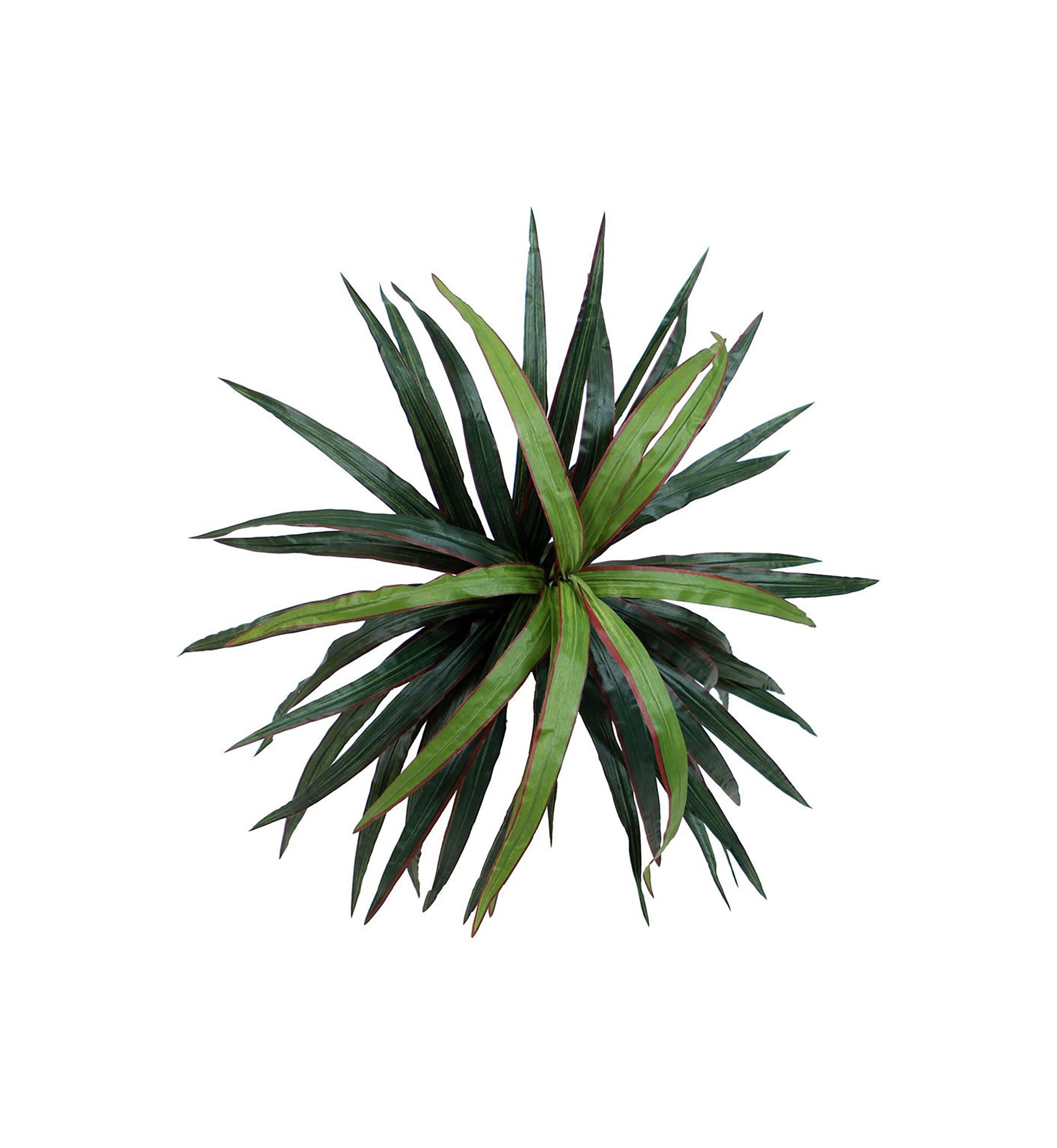 Artificial Marginata Bush, Rattan Basket