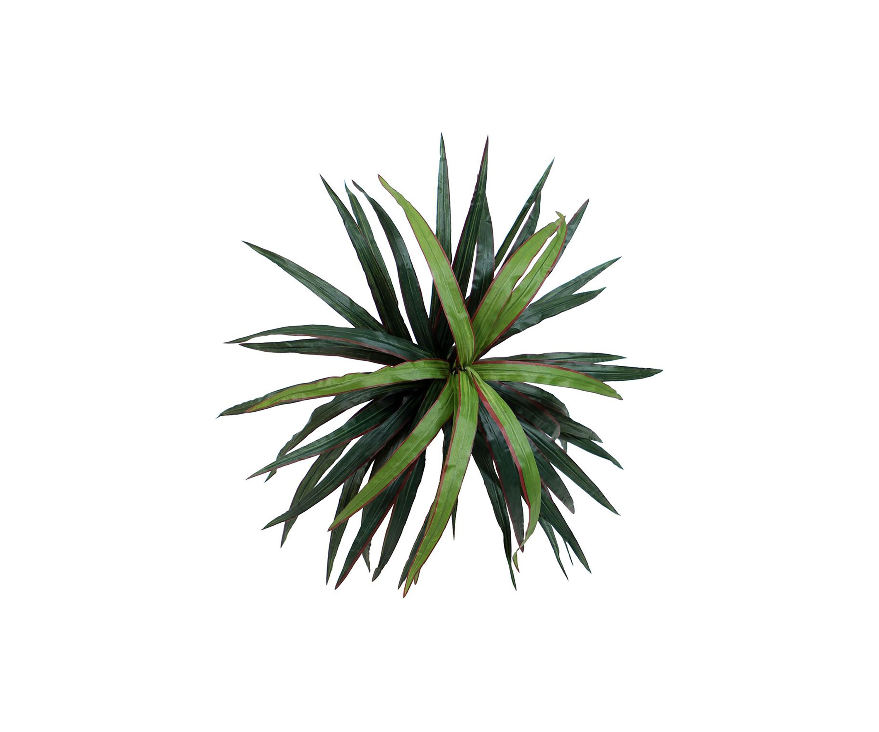 Artificial Marginata Bush, Rattan Basket