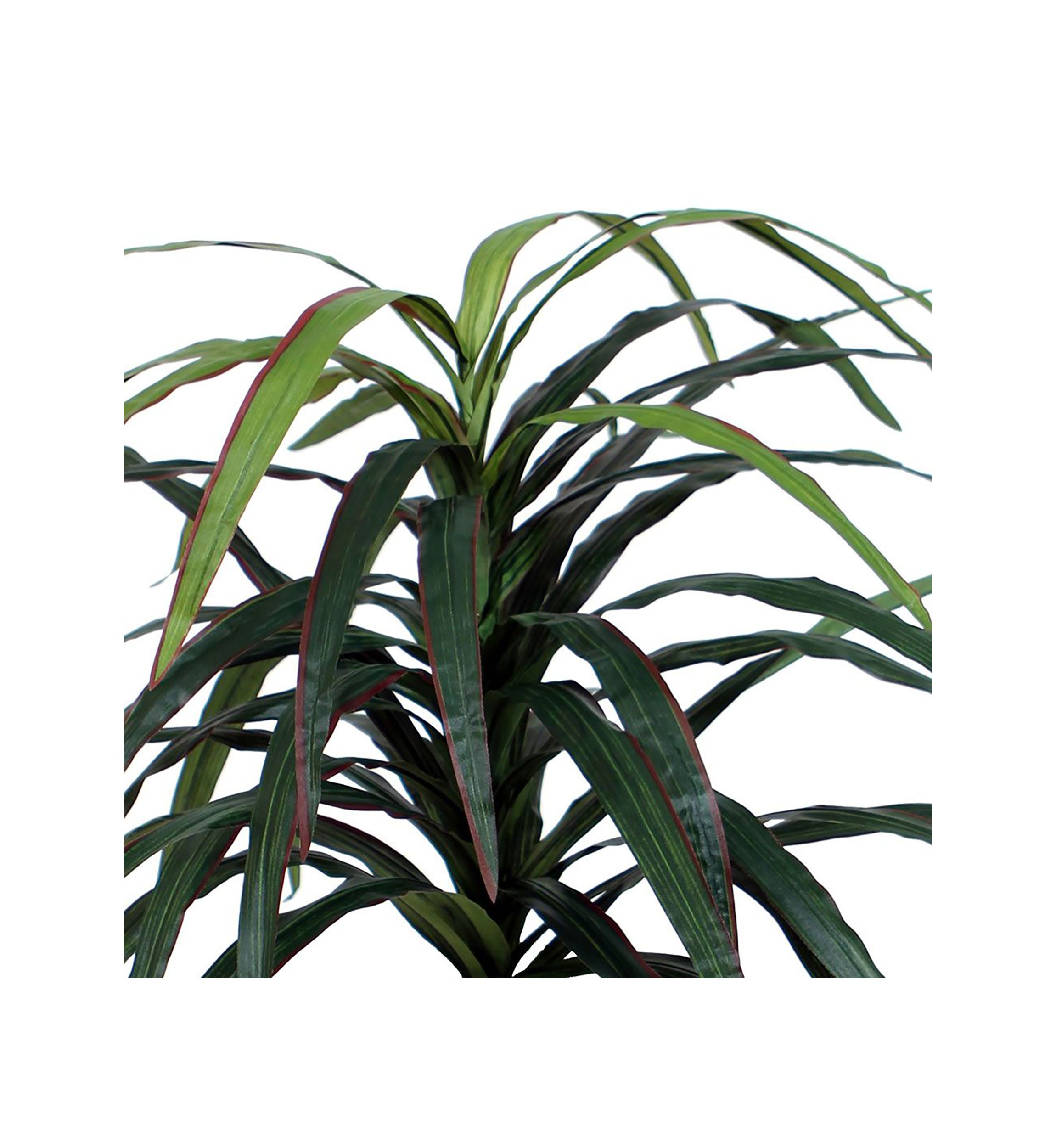 Artificial Marginata Bush, Rattan Basket