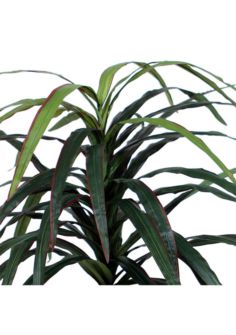 Artificial Marginata Bush, Rattan Basket