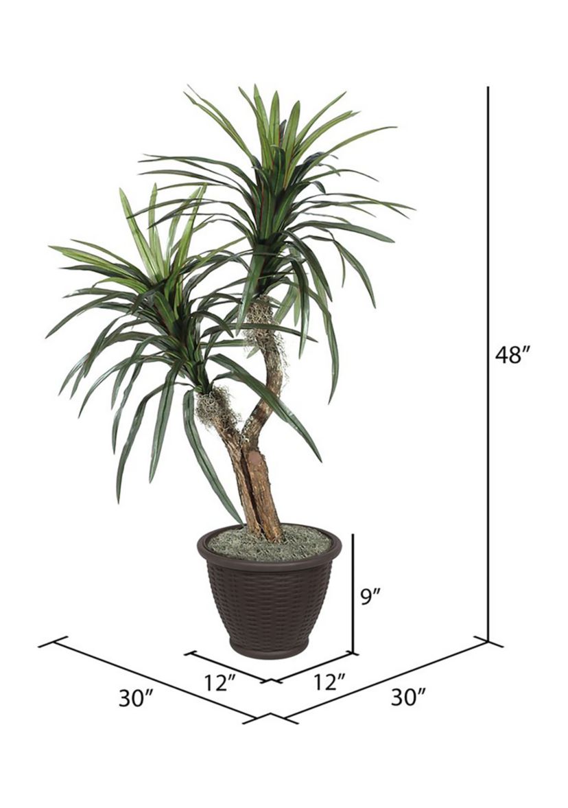 Artificial Marginata Bush, Rattan Basket