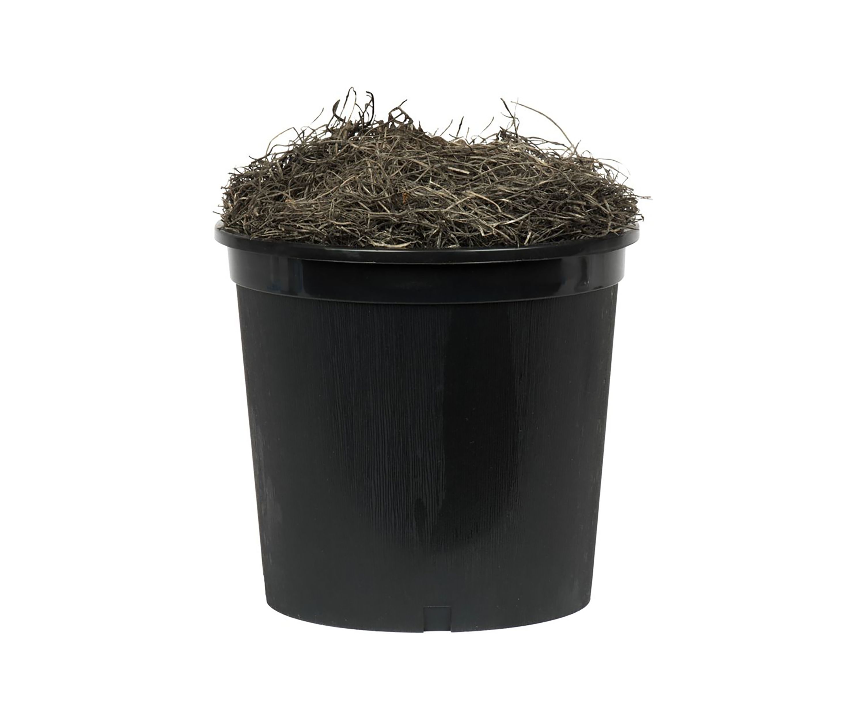 Artificial Smilax Bush, Plastic Pot.