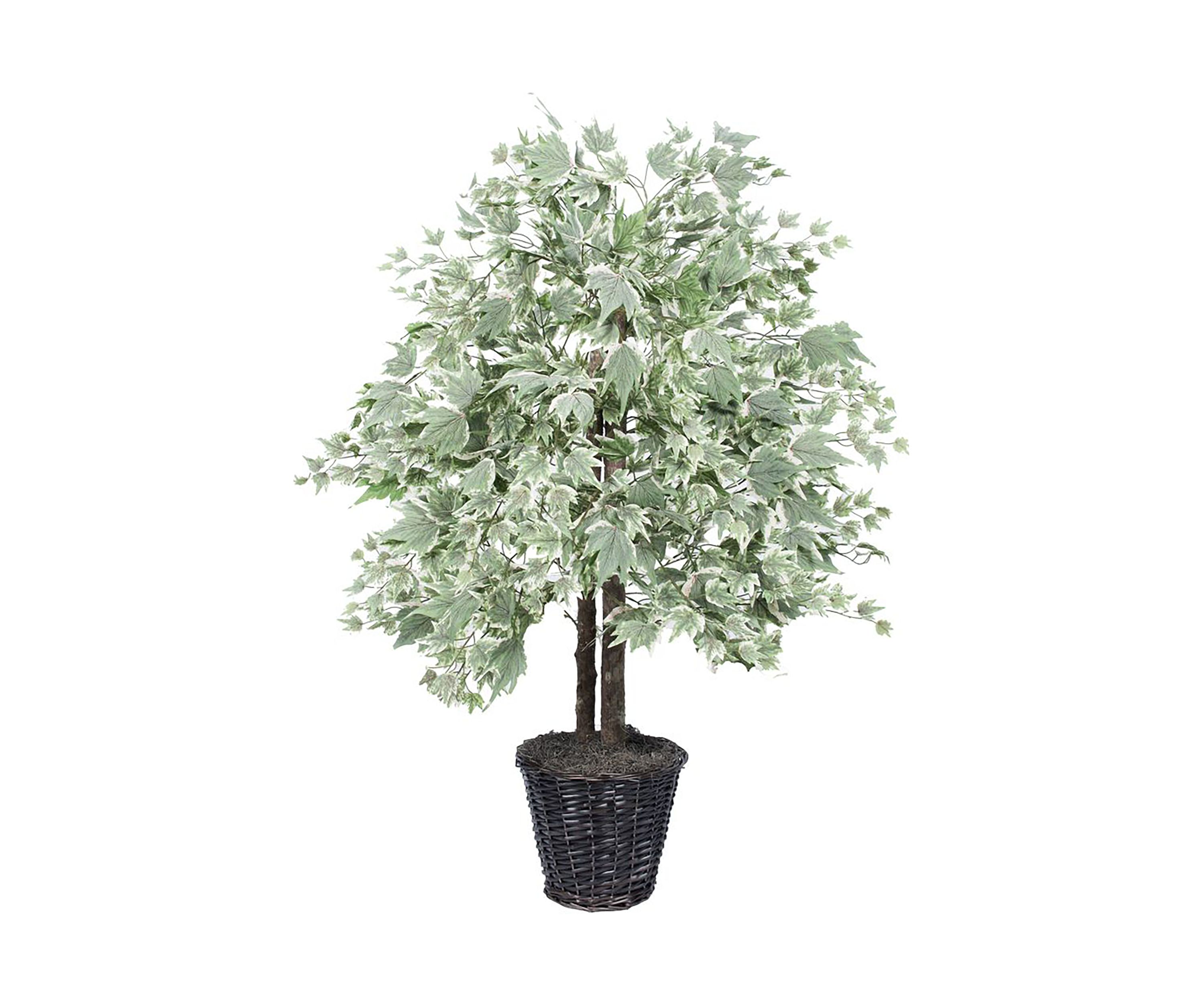 Artificial Silver Maple Bush, Rattan Basket