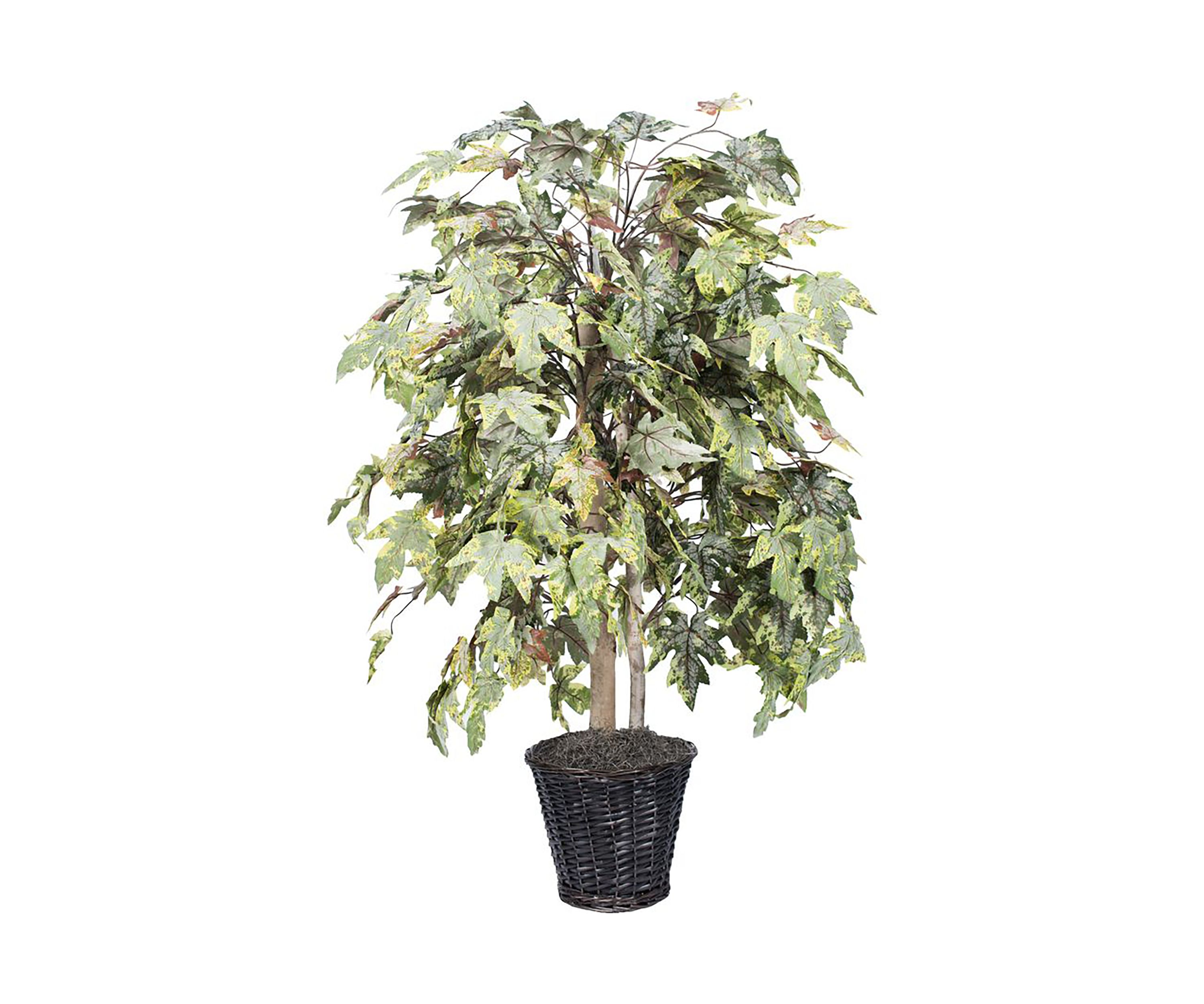 Artificial Frosted Maple Bush, Rattan Basket.