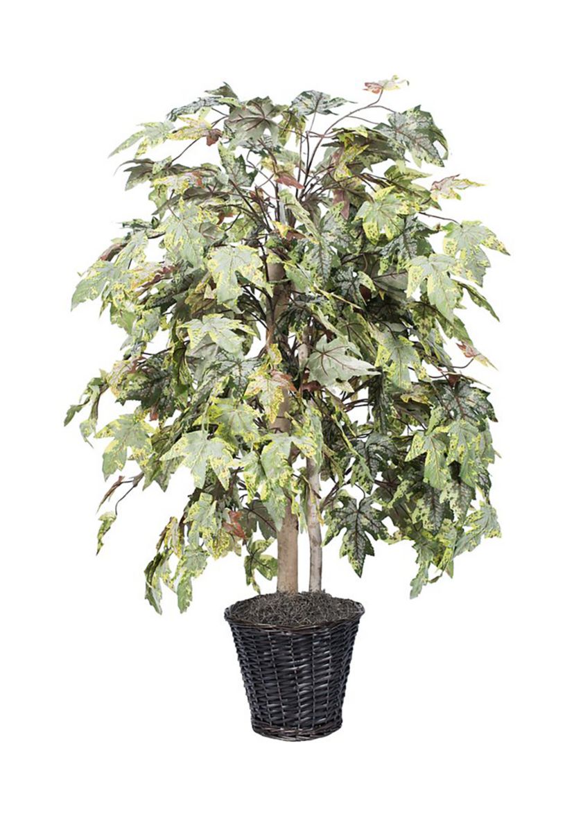 Artificial Frosted Maple Bush, Rattan Basket.
