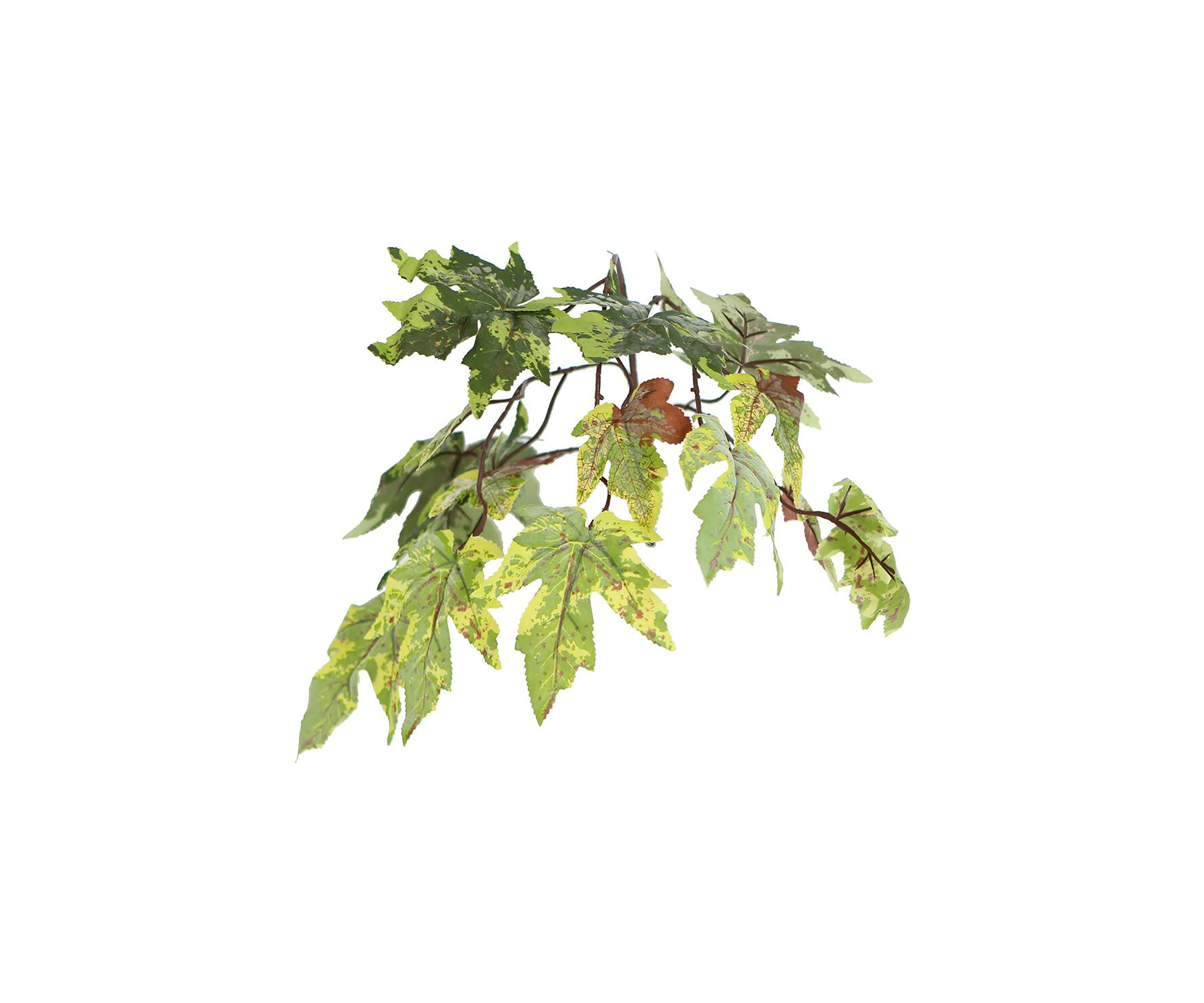 Artificial Frosted Maple Bush, Rattan Basket.