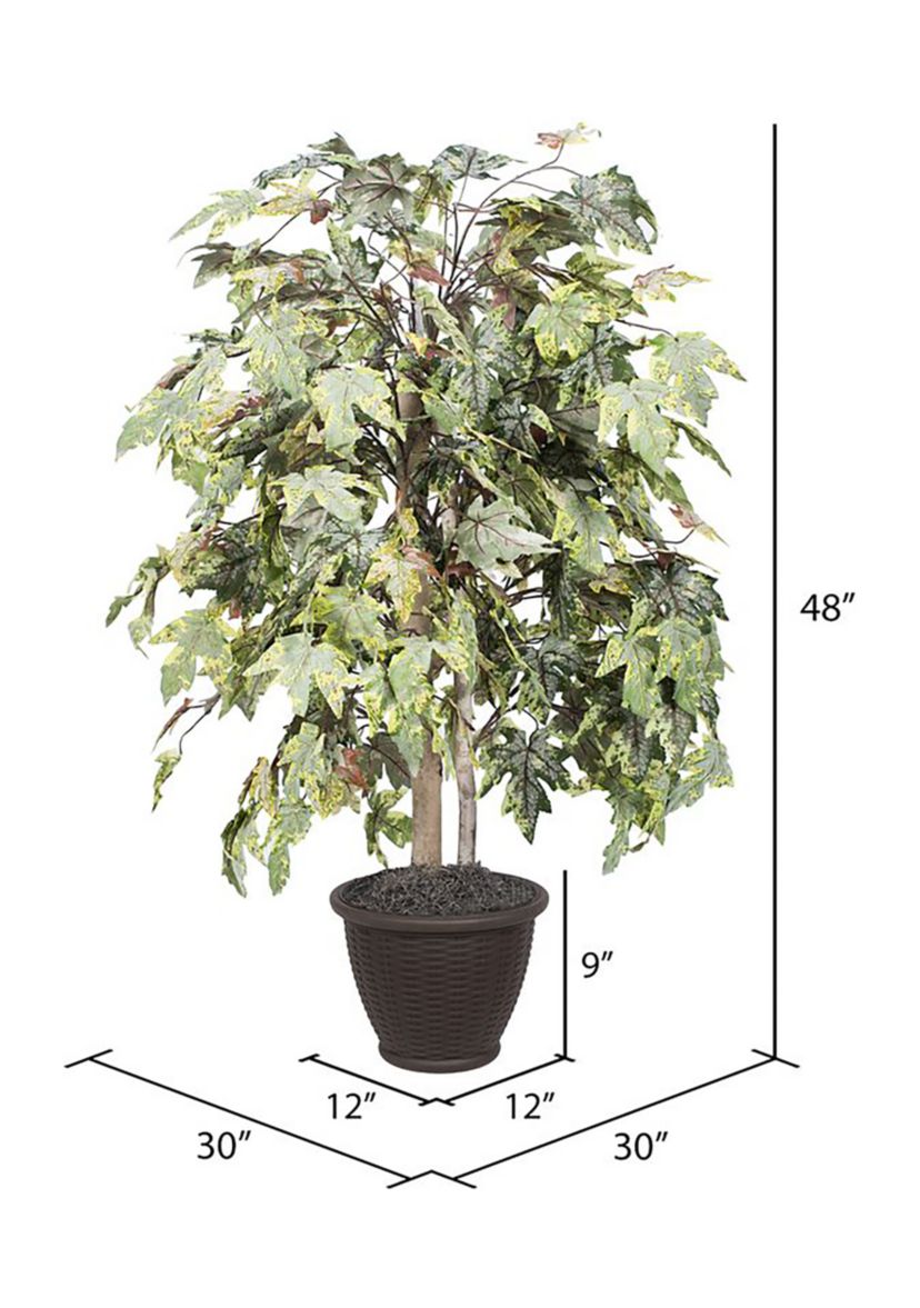 Artificial Frosted Maple Bush, Rattan Basket.
