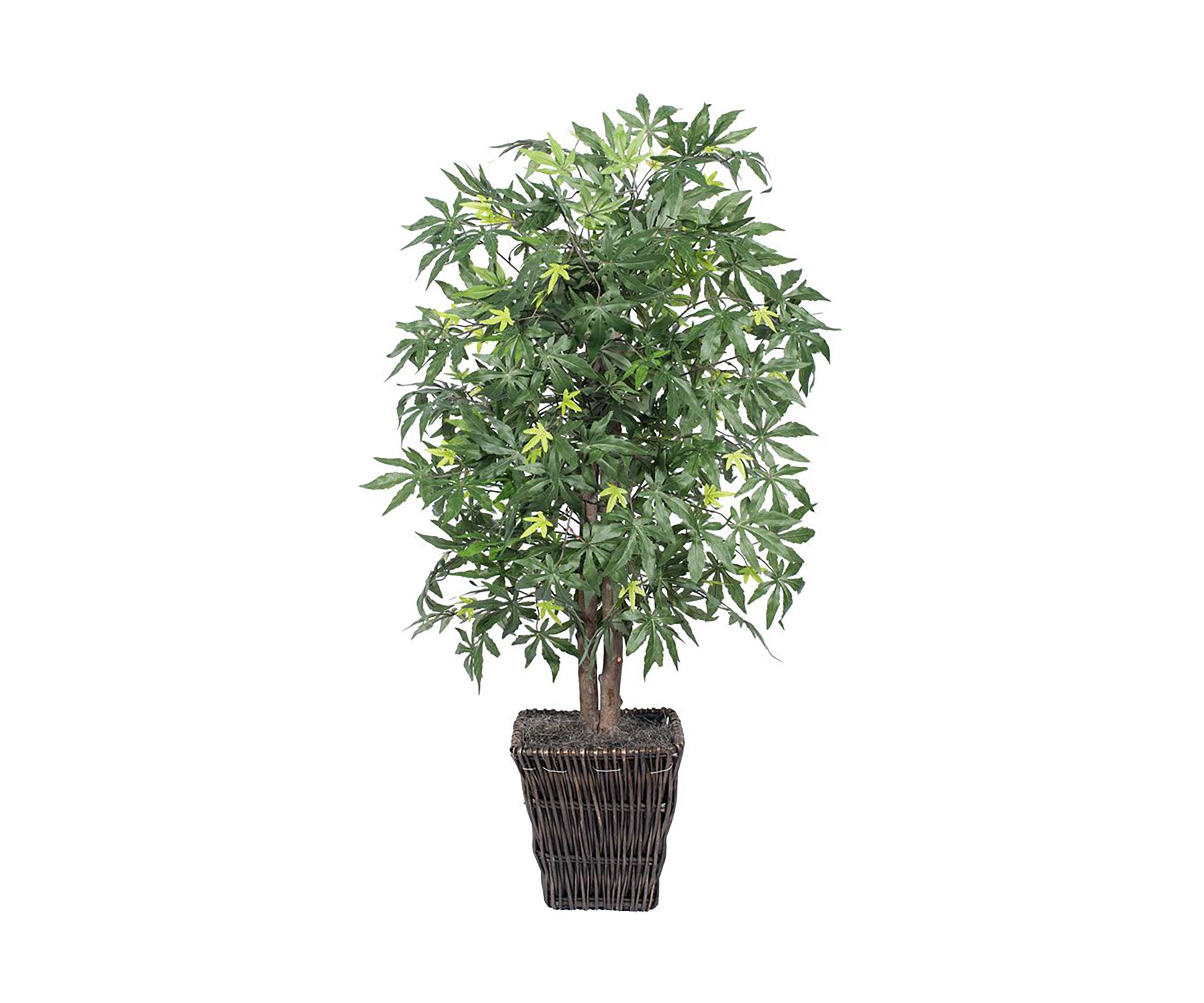 Artificial Japanese Maple Bush, Square Willow Basket.