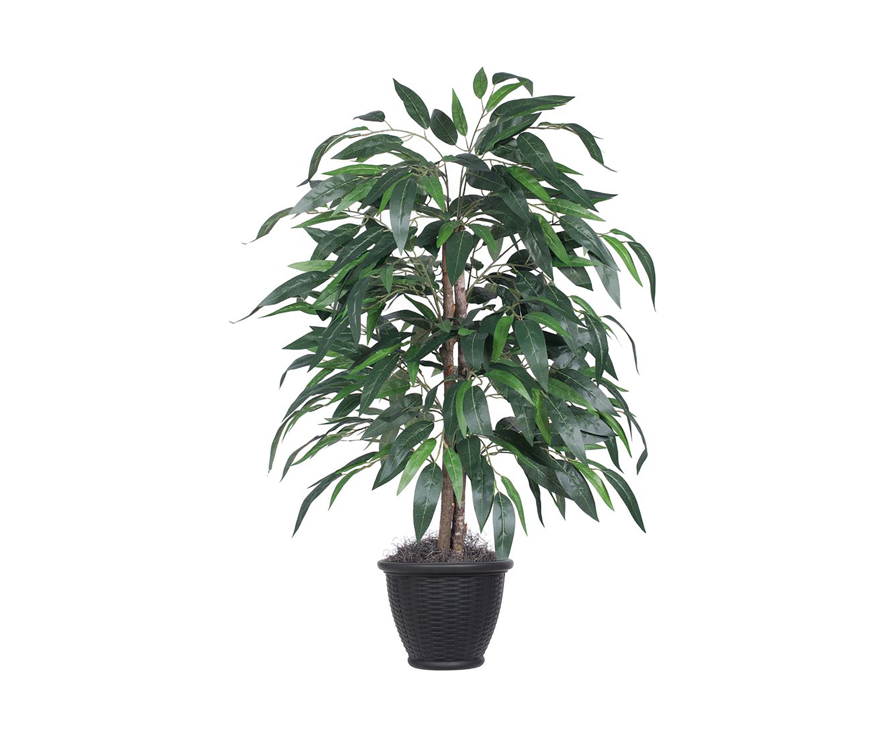 Artificial Mango Bush, Plastic Container.