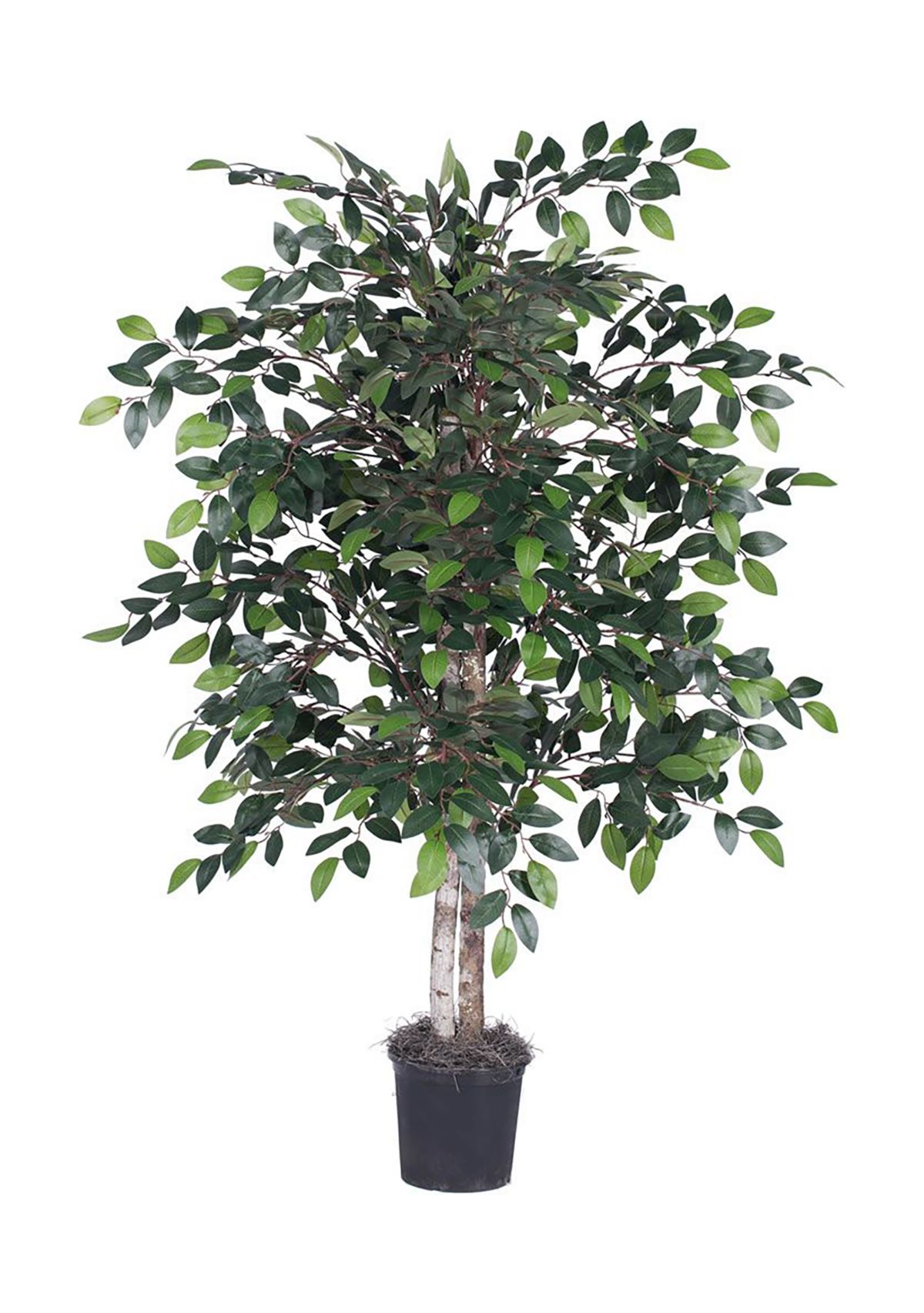 Artificial Minil Ficus Bush, Plastic Pot