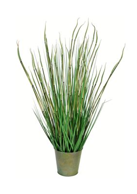 Vickerman Potted Green Reed Grass