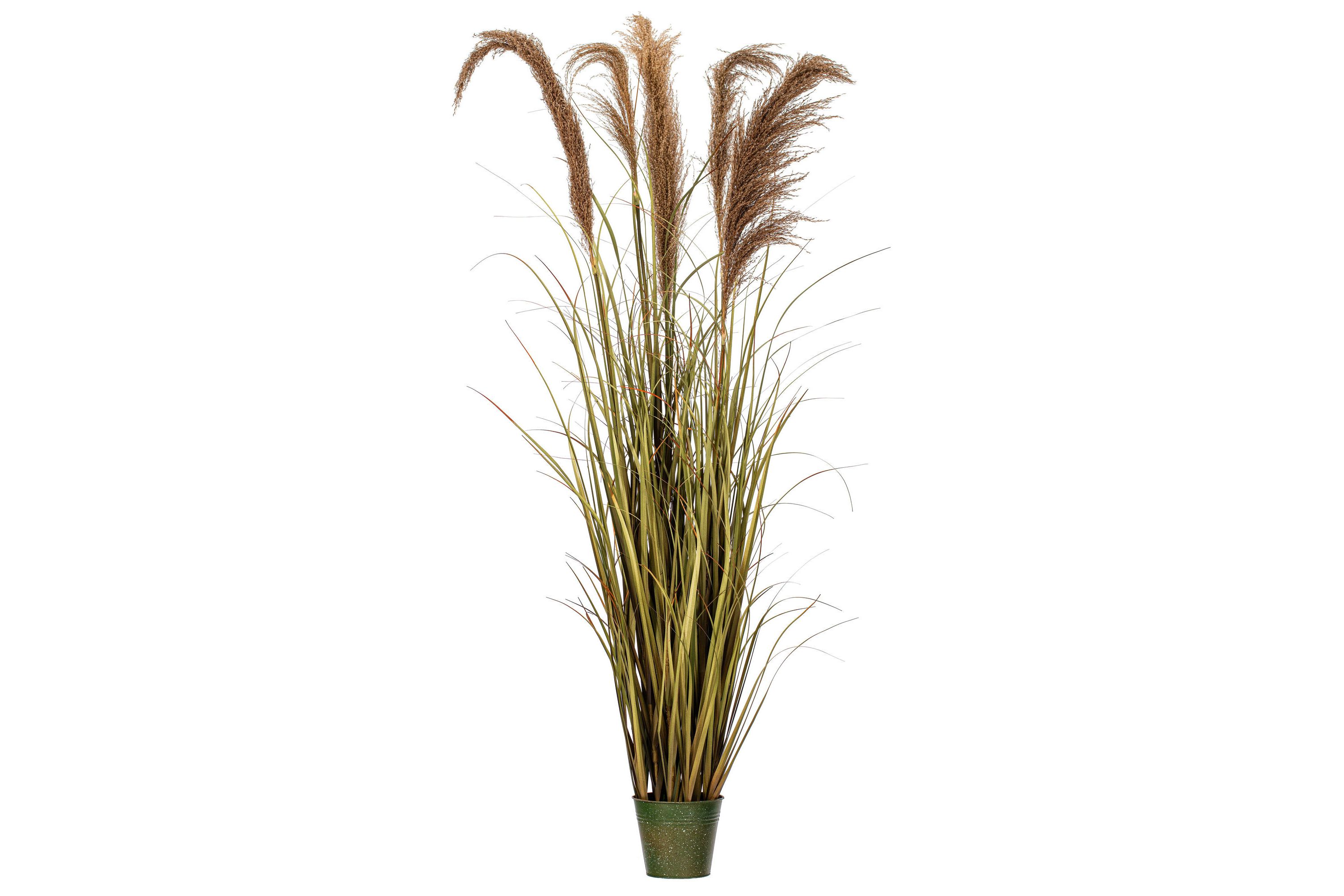 Vickerman 55" Artificial Potted Green Grass and Natural Reeds.
