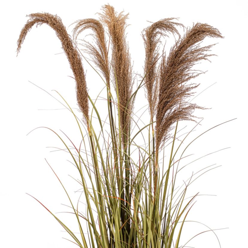 Vickerman 55" Artificial Potted Green Grass and Natural Reeds.
