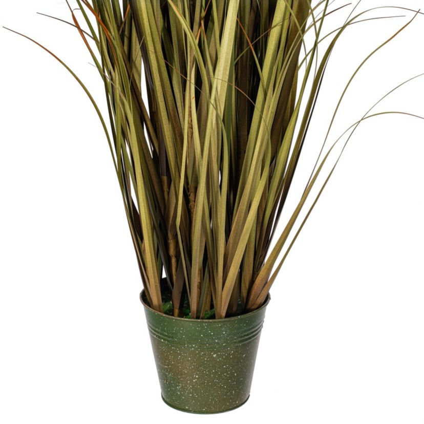 Vickerman 55" Artificial Potted Green Grass and Natural Reeds.