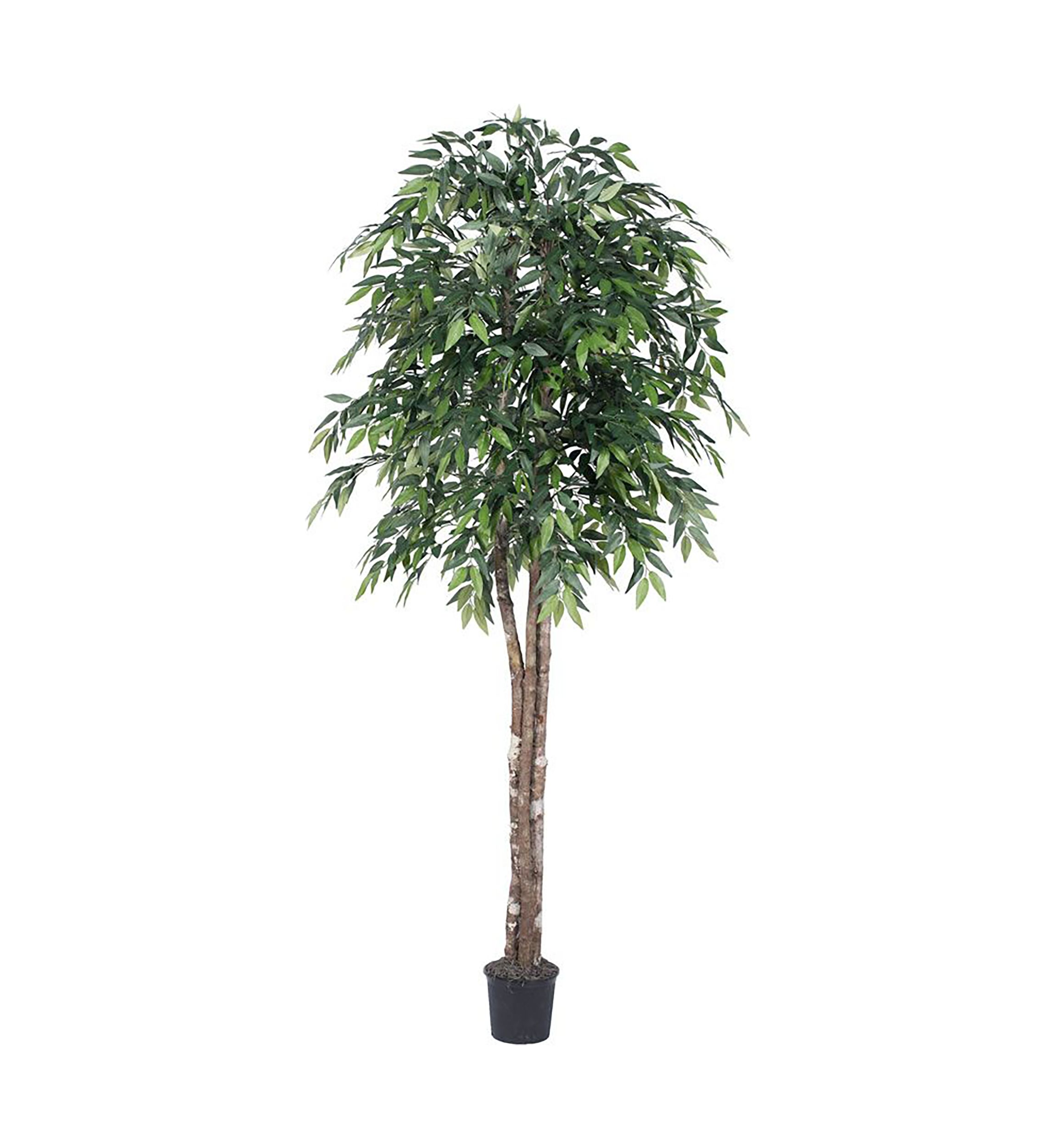 Artificial Smilax Deluxe, Plastic Pot